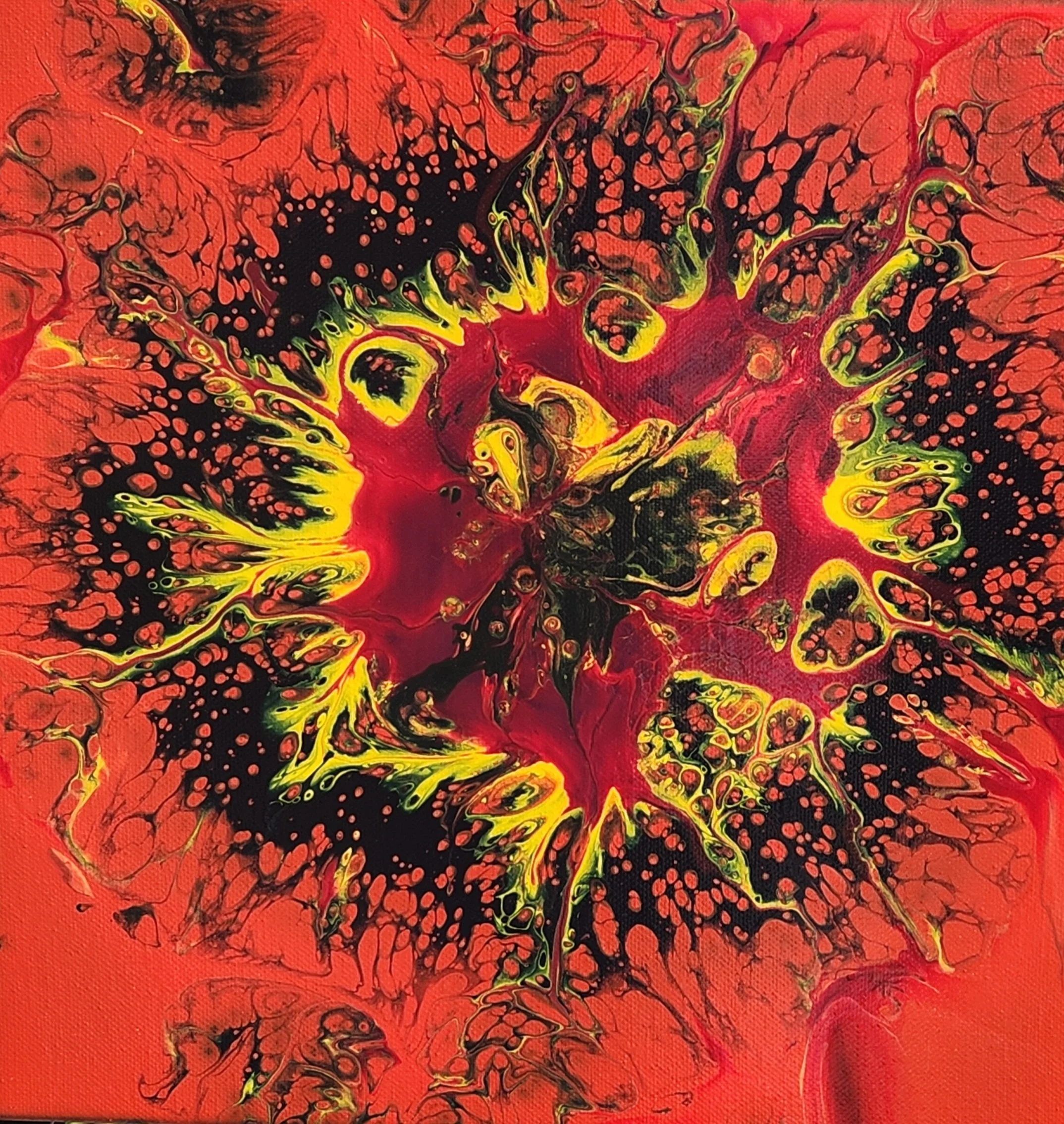Red Poppy Psychedelic Acrylic Pour Canvas 12x12