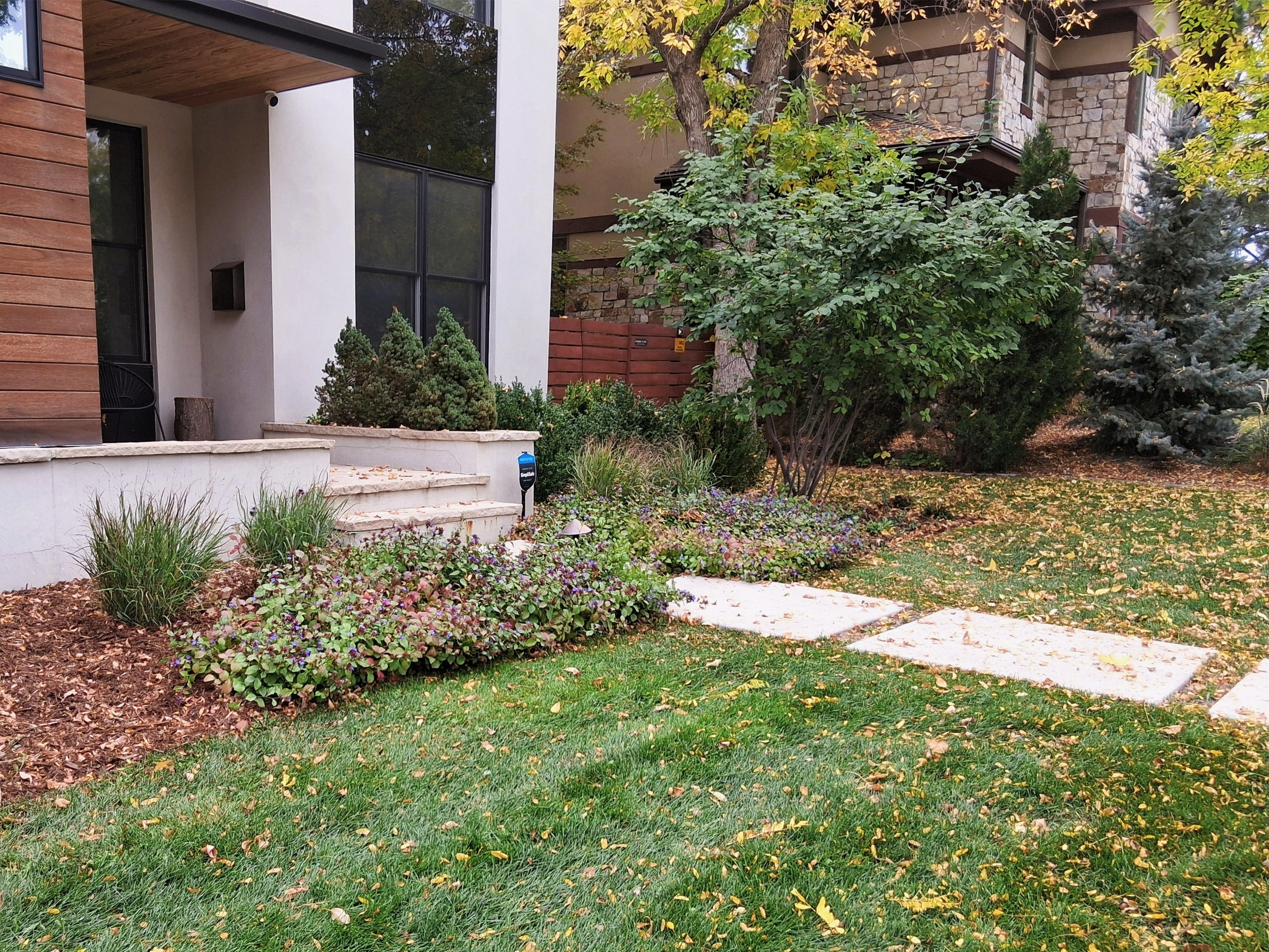 A modern house front yard landscaping with native, water-wise plants designed to thrive in Colorado's climate year round. Designed by Aquila Landscapes Design & Build, a landscape company in Denver, Colorado.