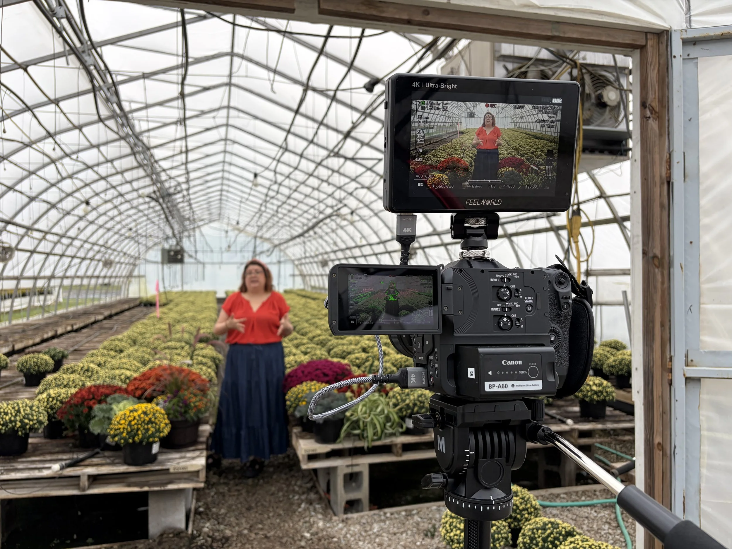 A woman in a red top and long skirt standing inside a greenhouse with potted flowers, being recorded by a professional video camera on a tripod.