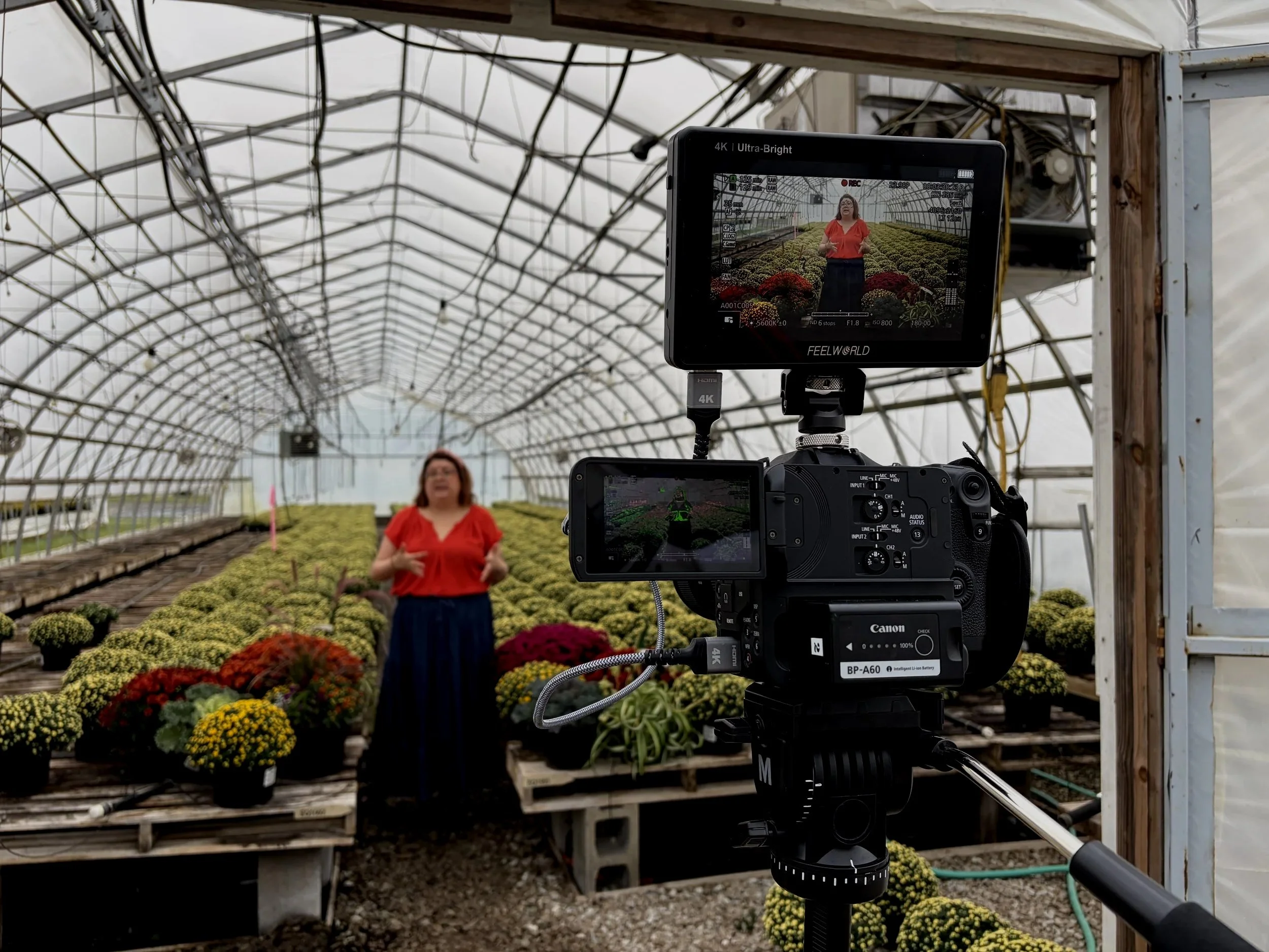 A camera recording a woman in a red top speaking inside a greenhouse filled with potted flowers.