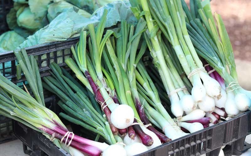 Wake Forest Farmers Market 