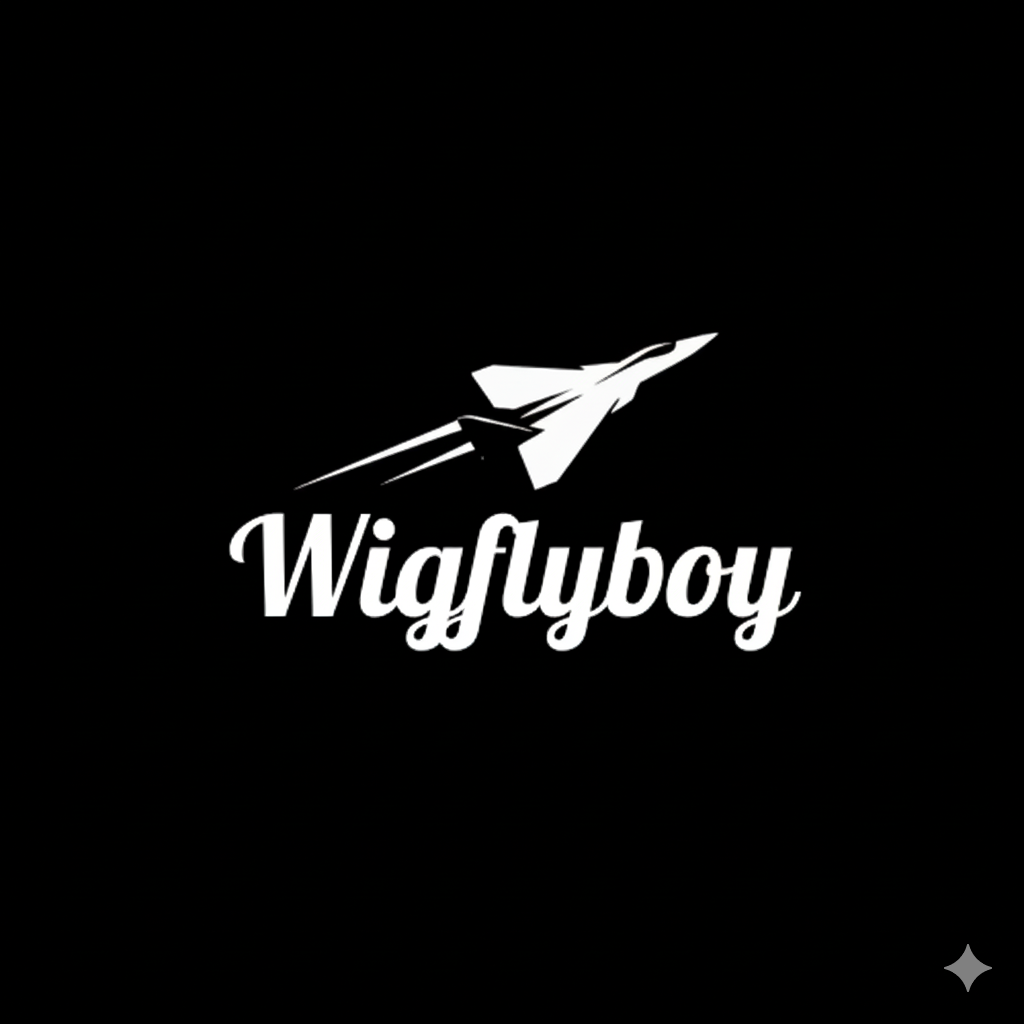 Wigflyboy 2.png