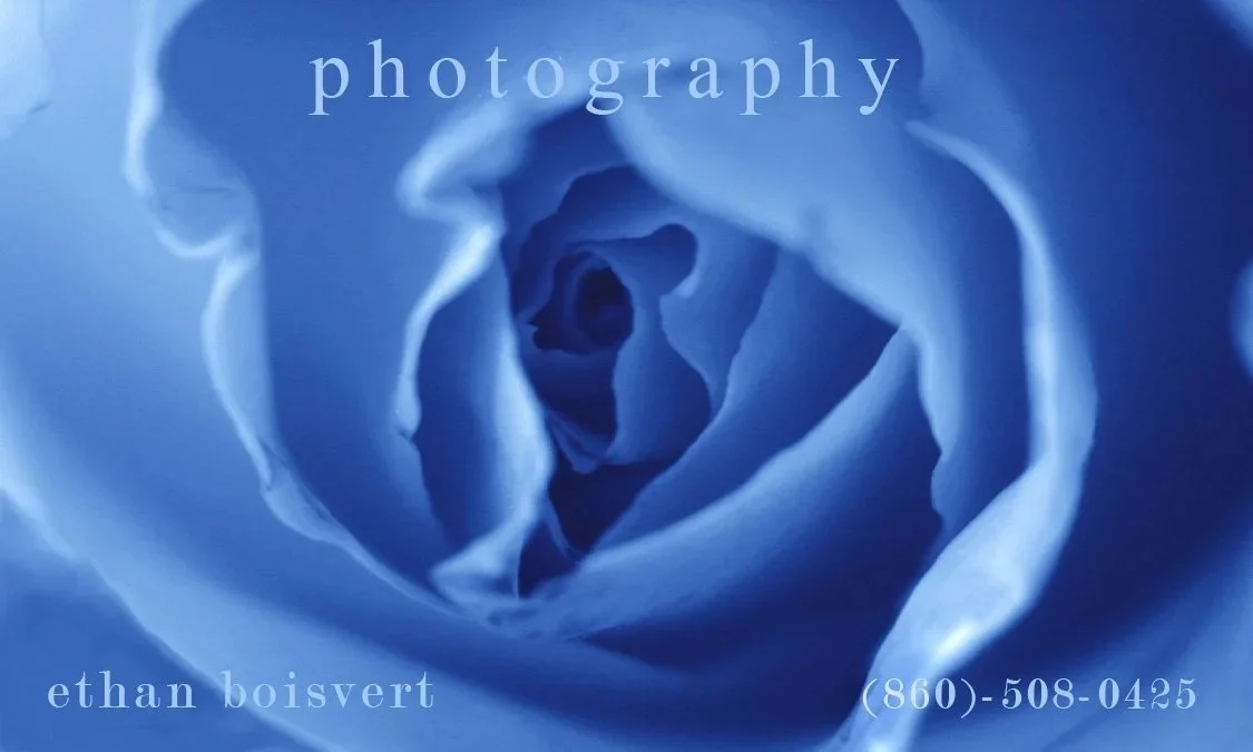 BluRosePhotography