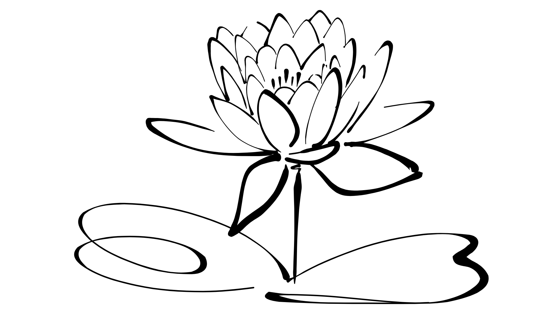 Lotus symbol representing integrative mental health and whole-body healing