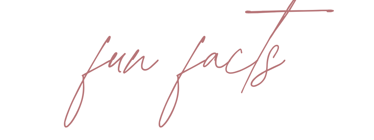 Stylized text reading "fun facts" in cursive font on a white background.