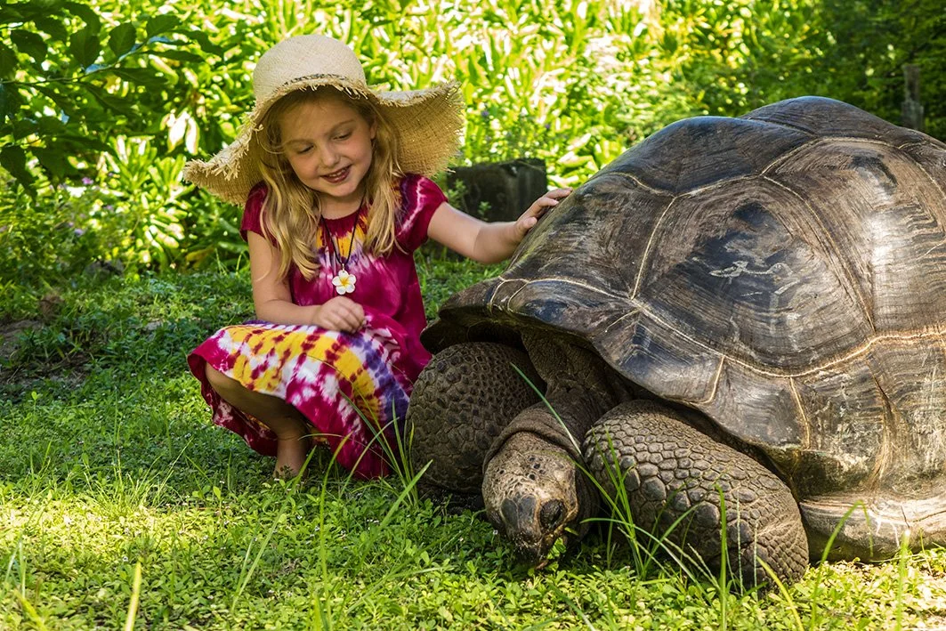 Denis Private Island - Girl + Tortoise-s.jpg