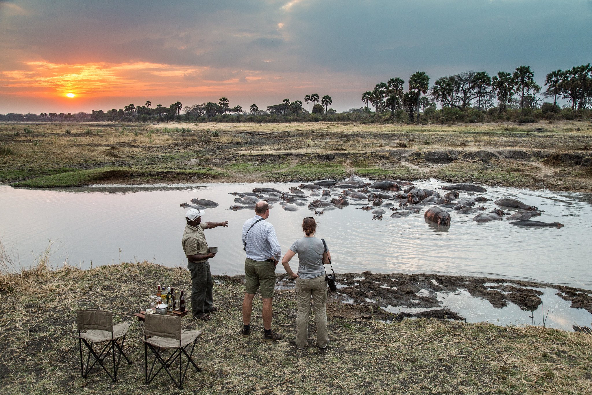 Nomad Tz_Hippo pod in Katavi.jpg