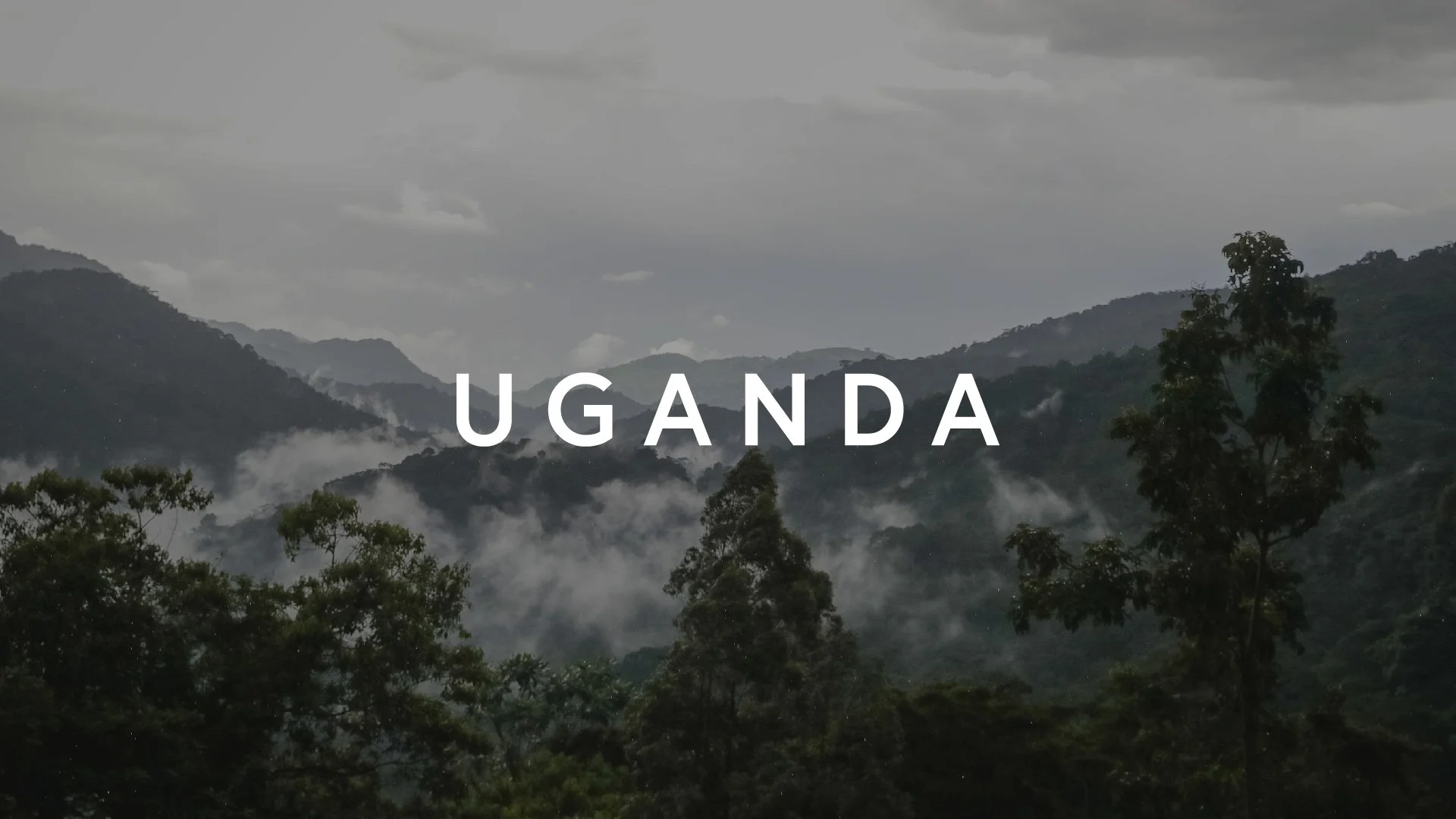 Mist-covered lush green mountains with trees in the foreground and overcast sky, titled 'Uganda'.
