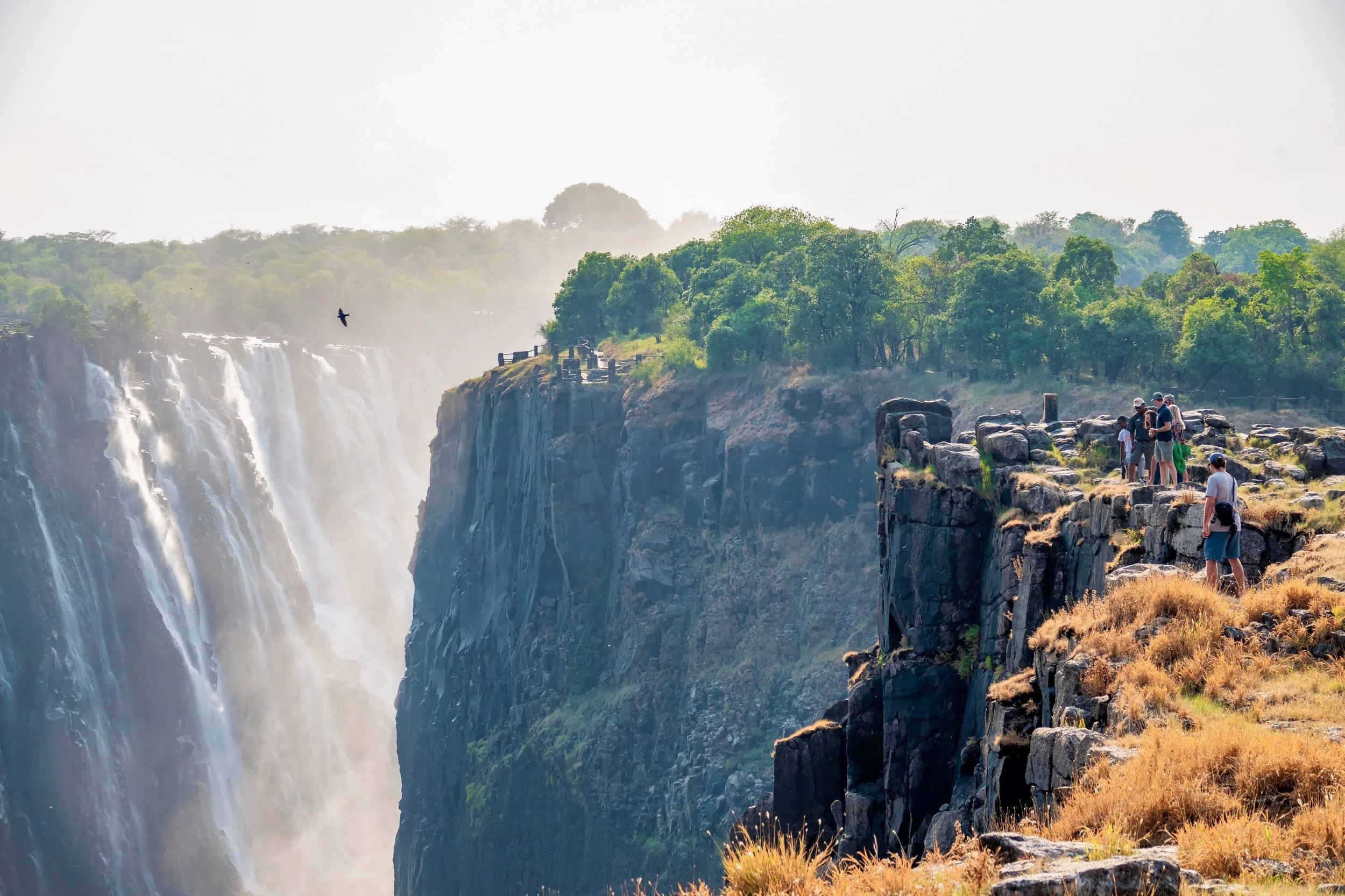 Credit: The Africa Hub