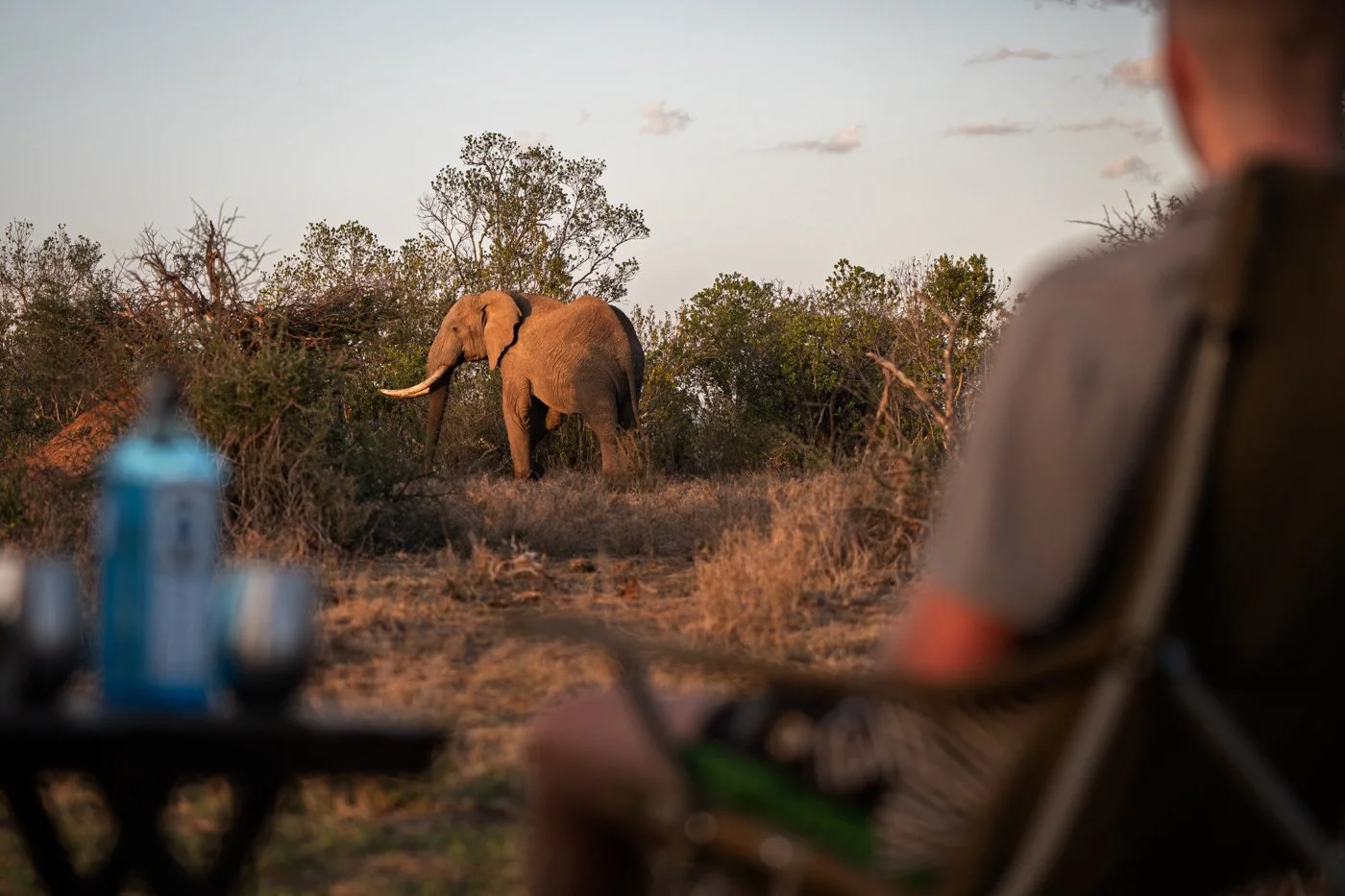 Albie_s sundowner ellie.jpg