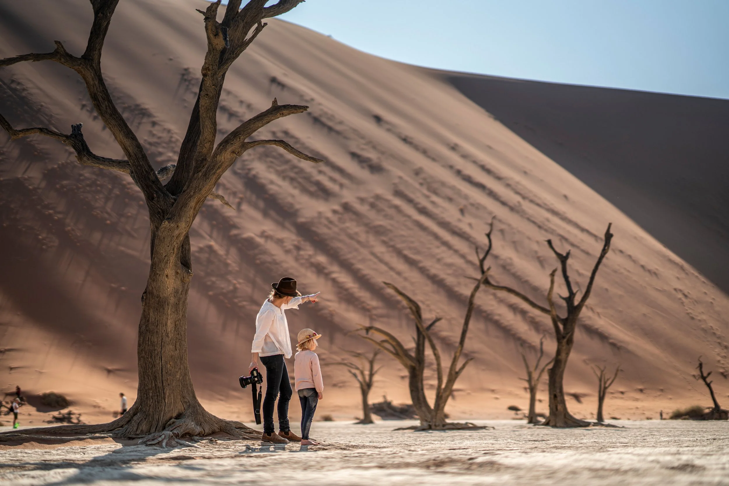 Deadvlei.jpeg