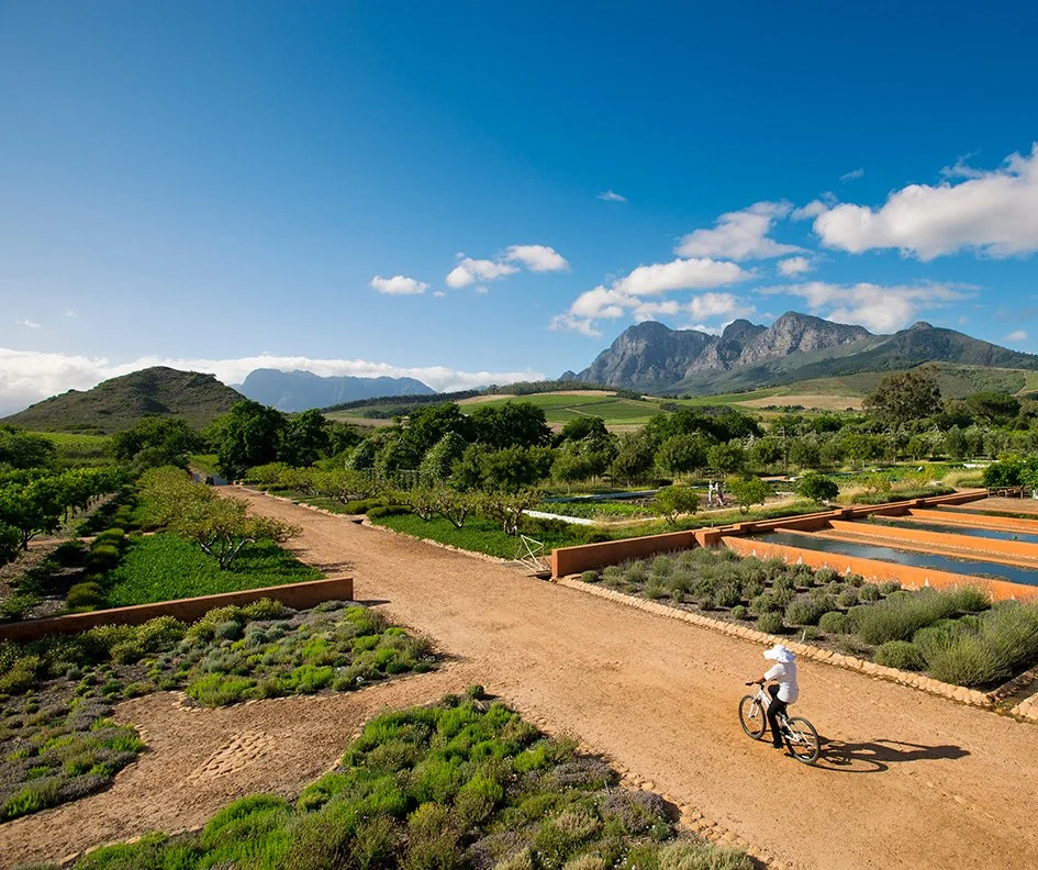 Credit: Babylonstoren