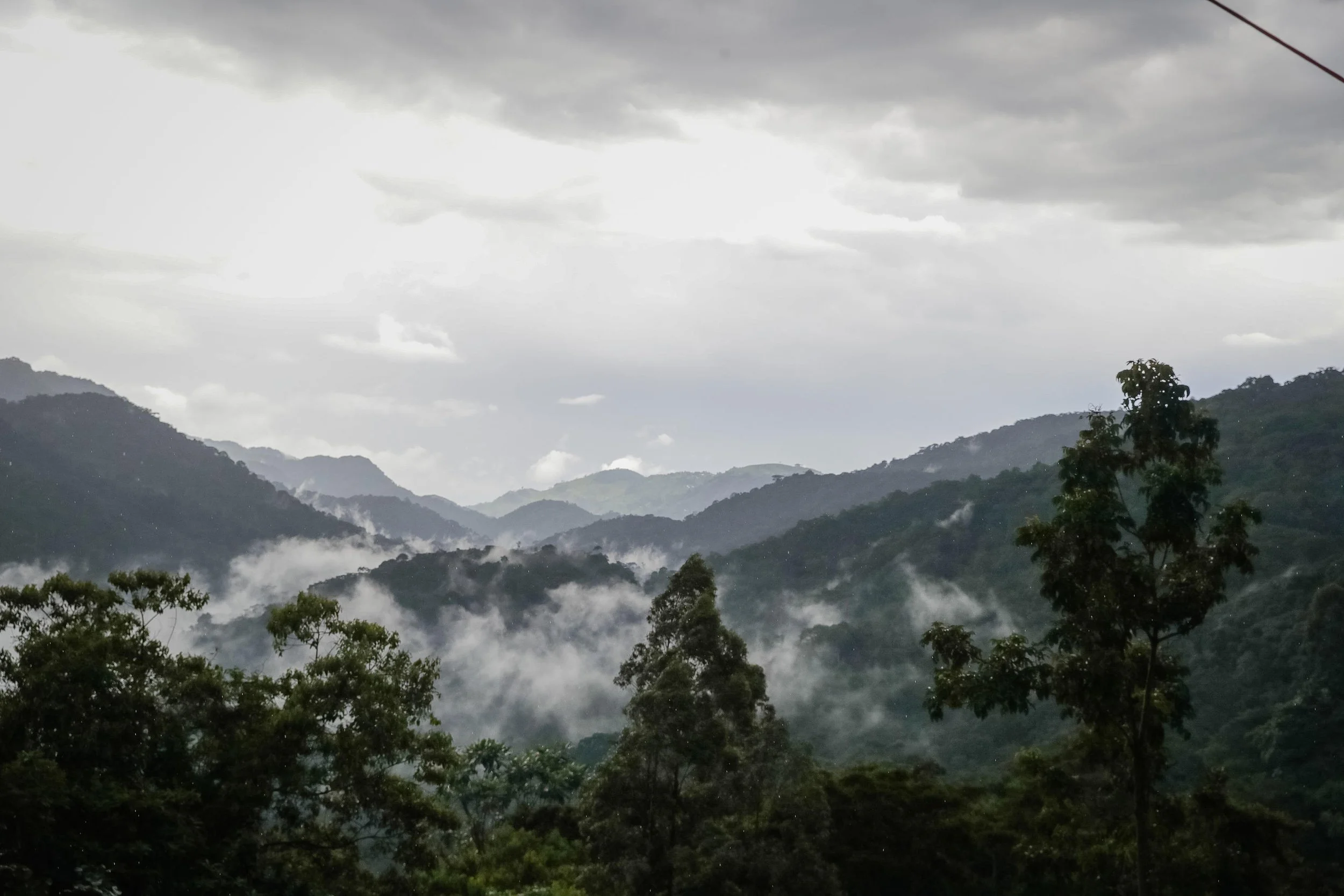 Cloudy mountain landscape with fog and trees in the foreground.