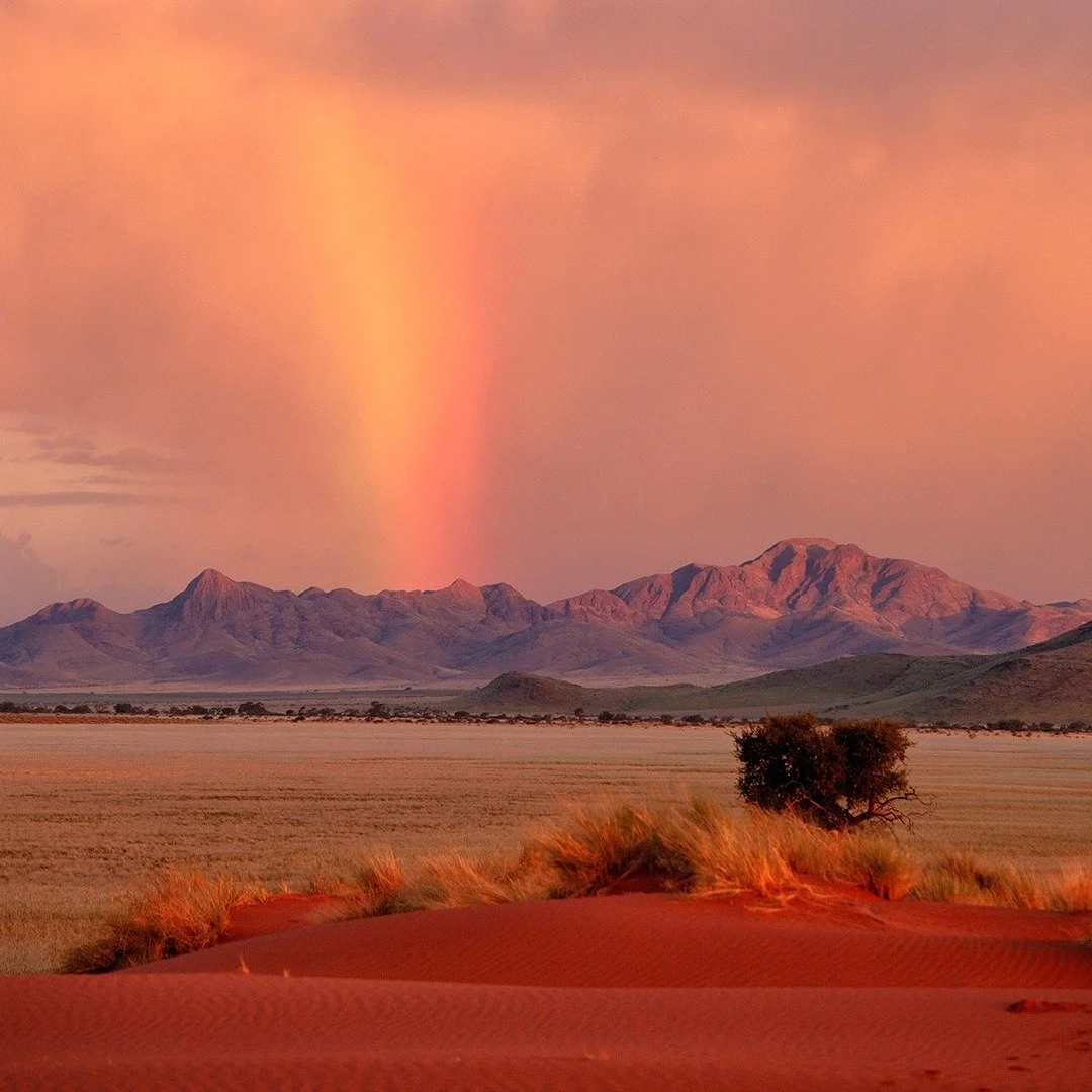 Happy 2026 to you all! I really hope that your year has got off to a good start where ever in the world you are. I know the world seems a bit unsettled at the moment.....my trip to southern Tanzania and islands in October really reminded me of the im
