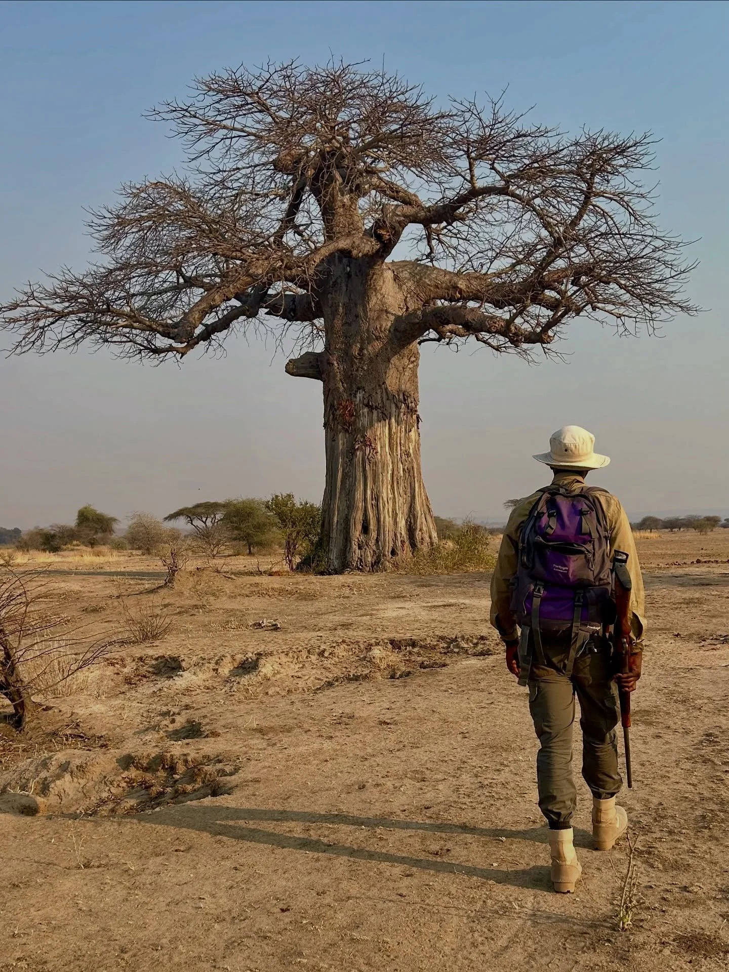 Expeditionary Walking Camp: Ruaha! 
This fantastic walking safari (over 3 nights) in southern Tanzania&rsquo;s wild Ruaha National Park is really up there for those seeking wilderness and escape from all the ever increasing digital distractions in li