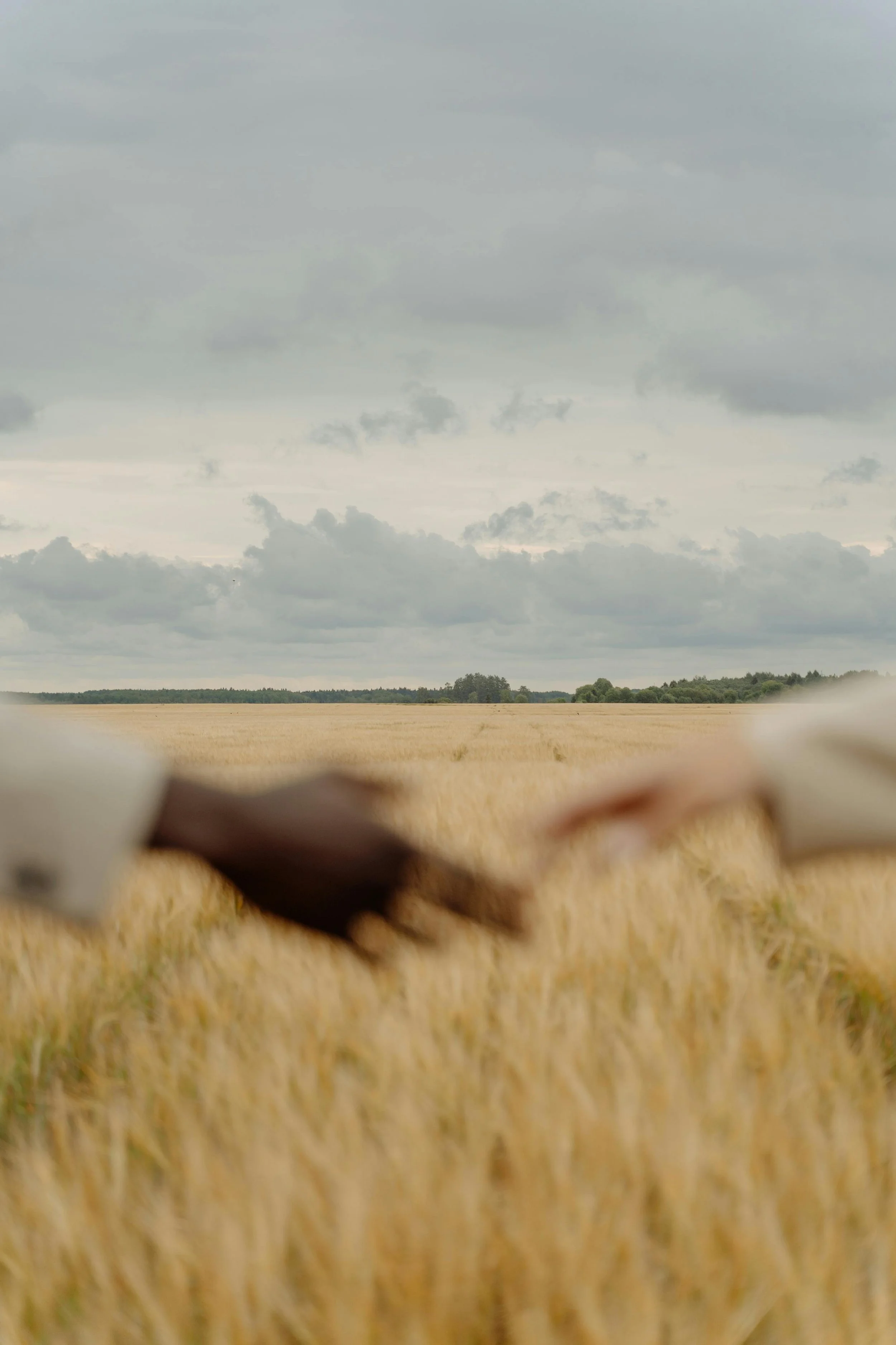 Two people holding hands in a wheat field with a cloudy sky in the background.