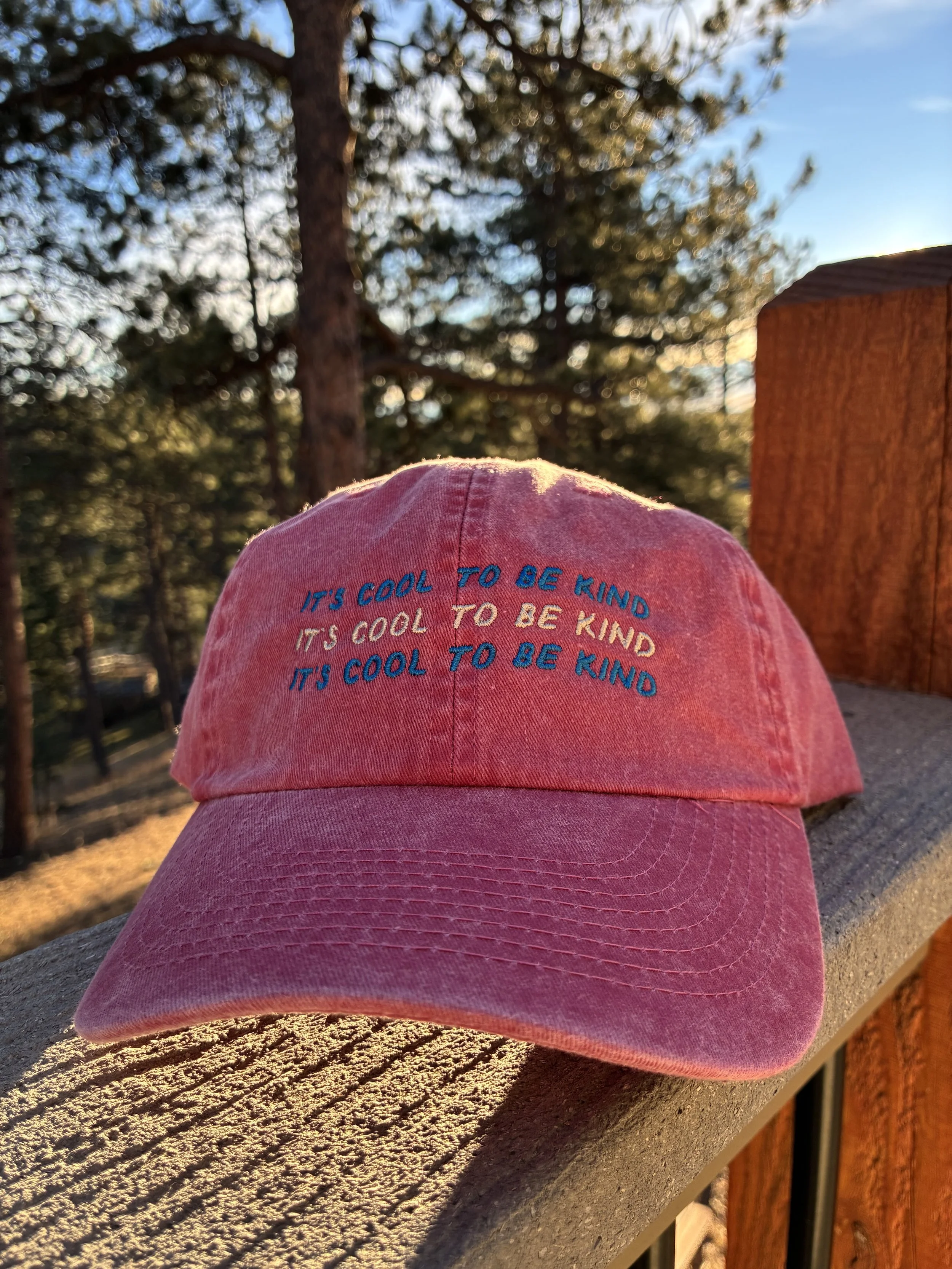 COOL TO BE KIND DAD HAT