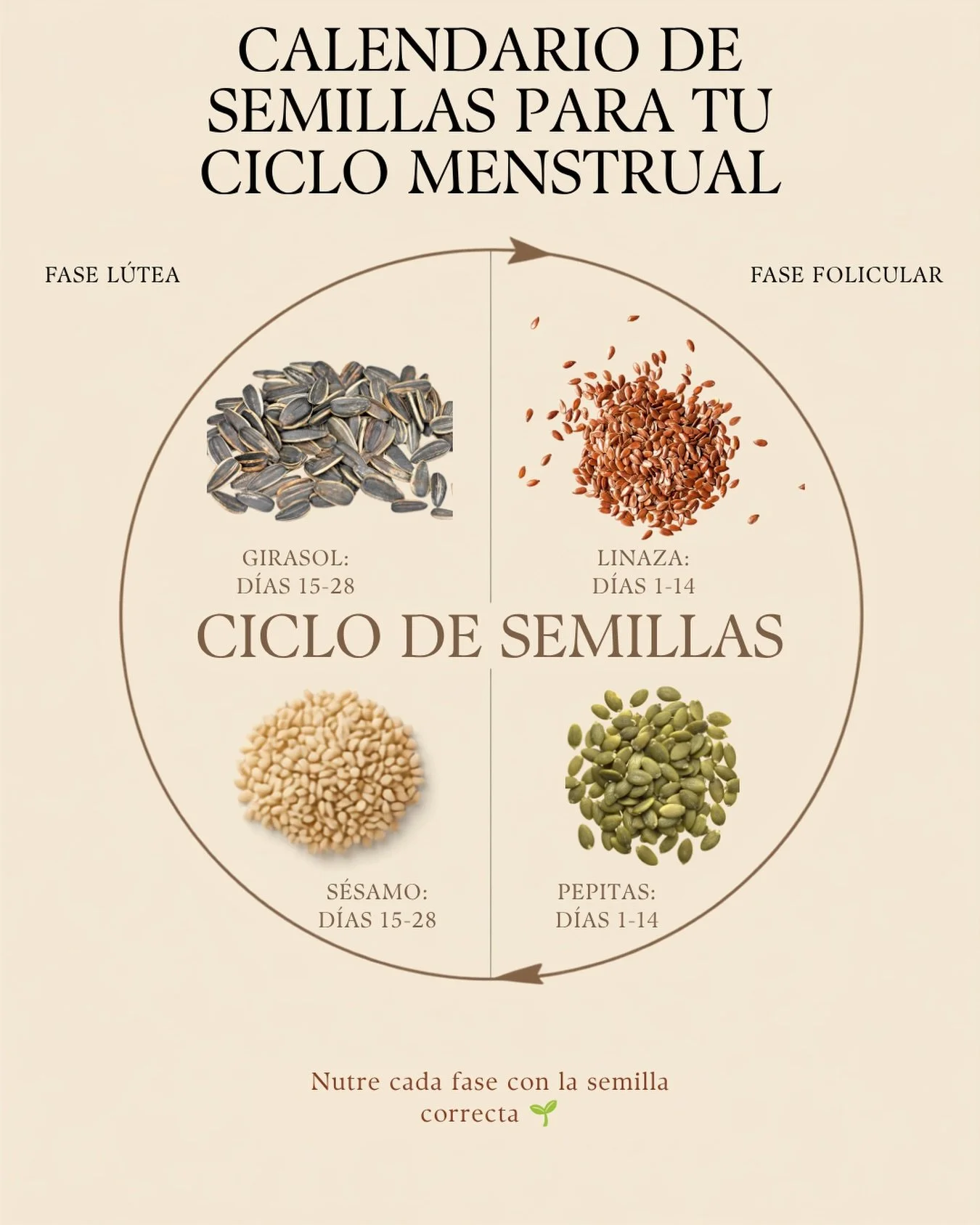 &iquest;Conoc&iacute;as el seed cycling? 🌱

Como health coach, me preguntan un mont&oacute;n c&oacute;mo cuidar las hormonas sin complicarse&hellip; y casi siempre termino hablando del ciclo de semillas. Vas cambiando las semillas seg&uacute;n la fa
