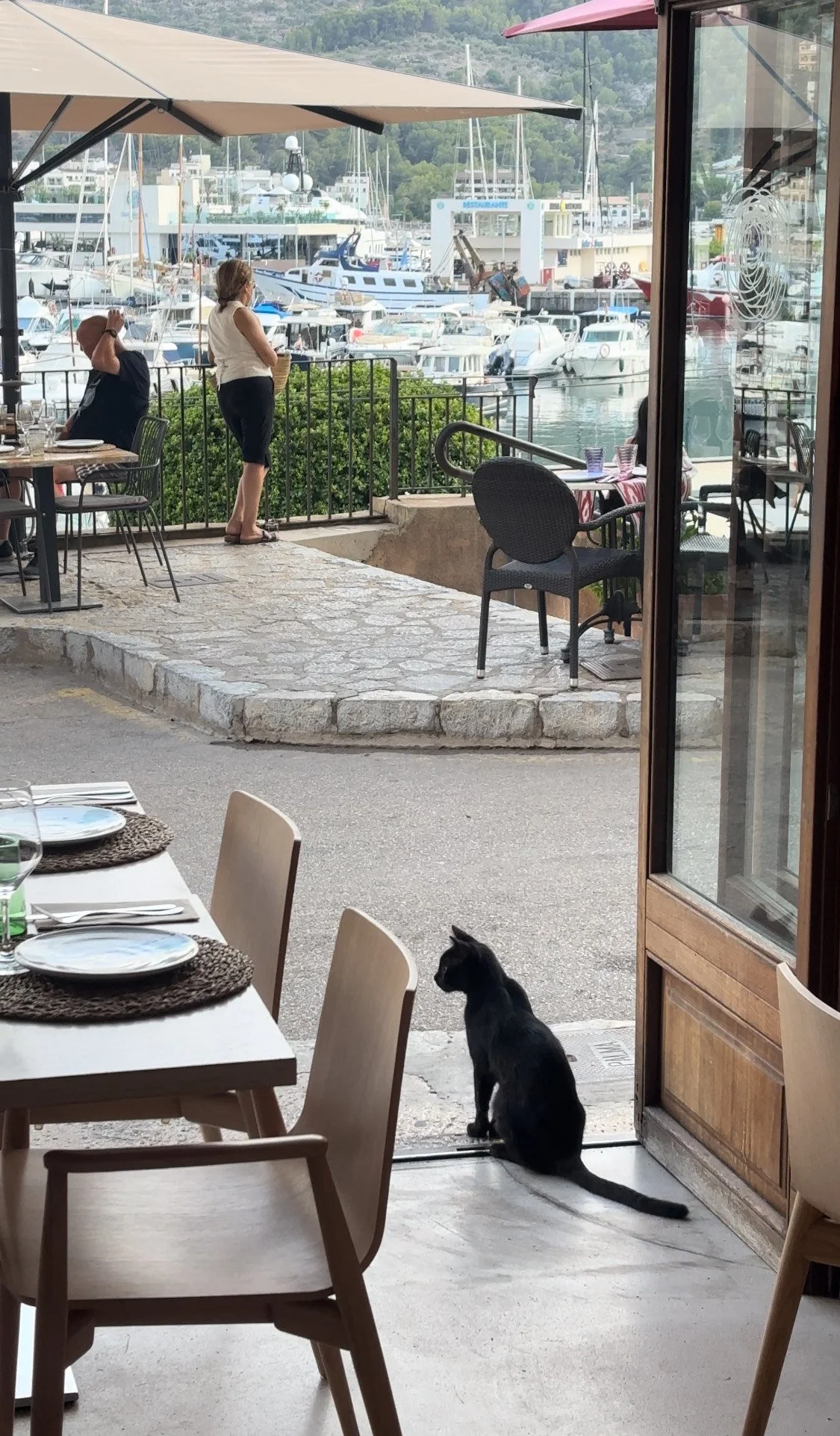 Vista desde dentro del restaurante con vista a un puerto lleno de yates, con una gata negra sentado en el umbral de la entrada, dos personas observando el puerto desde el exterior y se vislumbra una parte de la terraza del restaurante.
