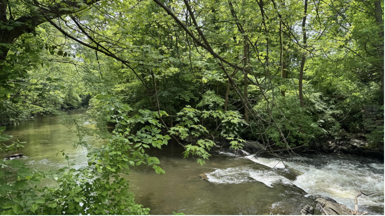 Learning to walk, again.