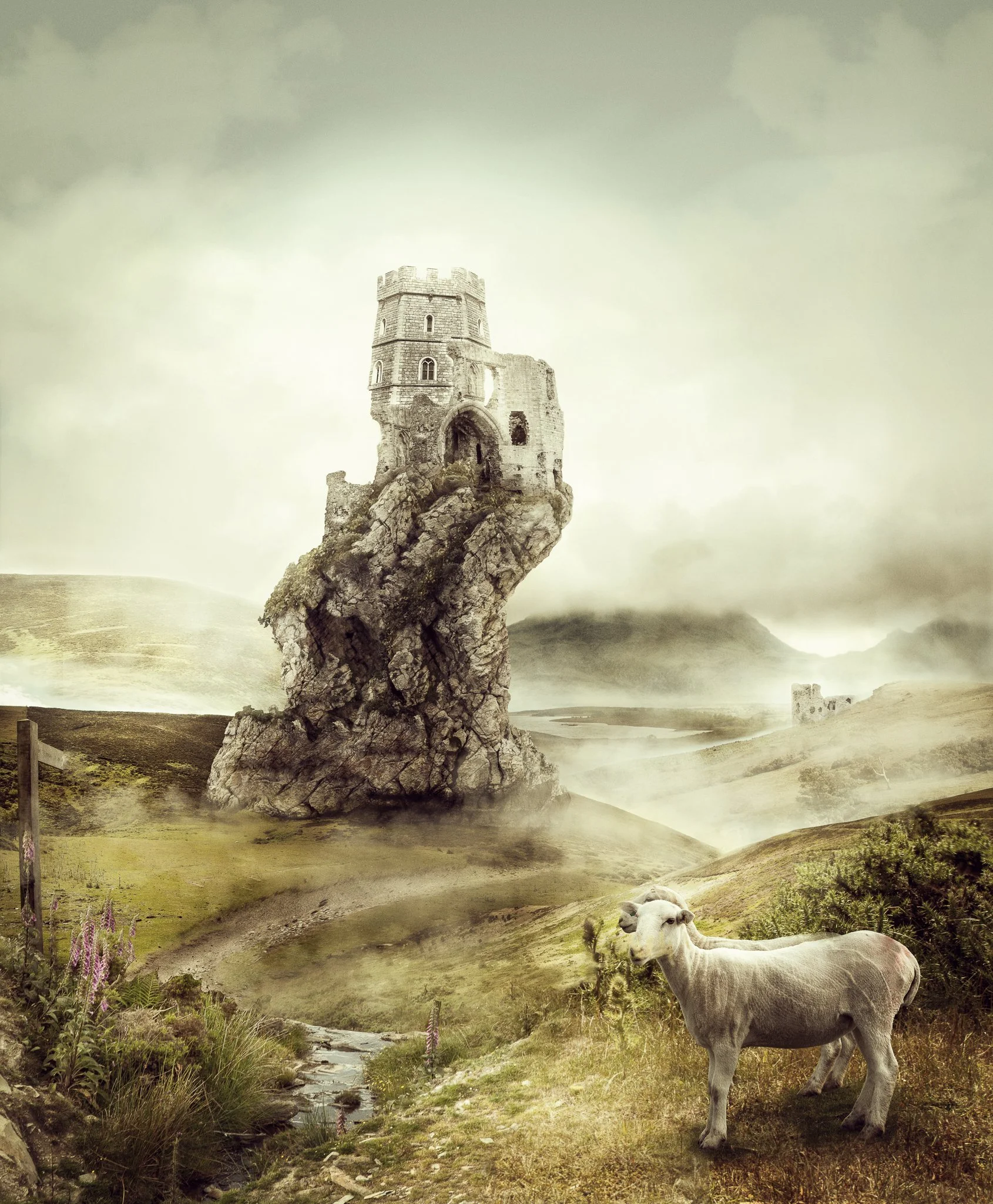 Karolina Skorek-4.jpg