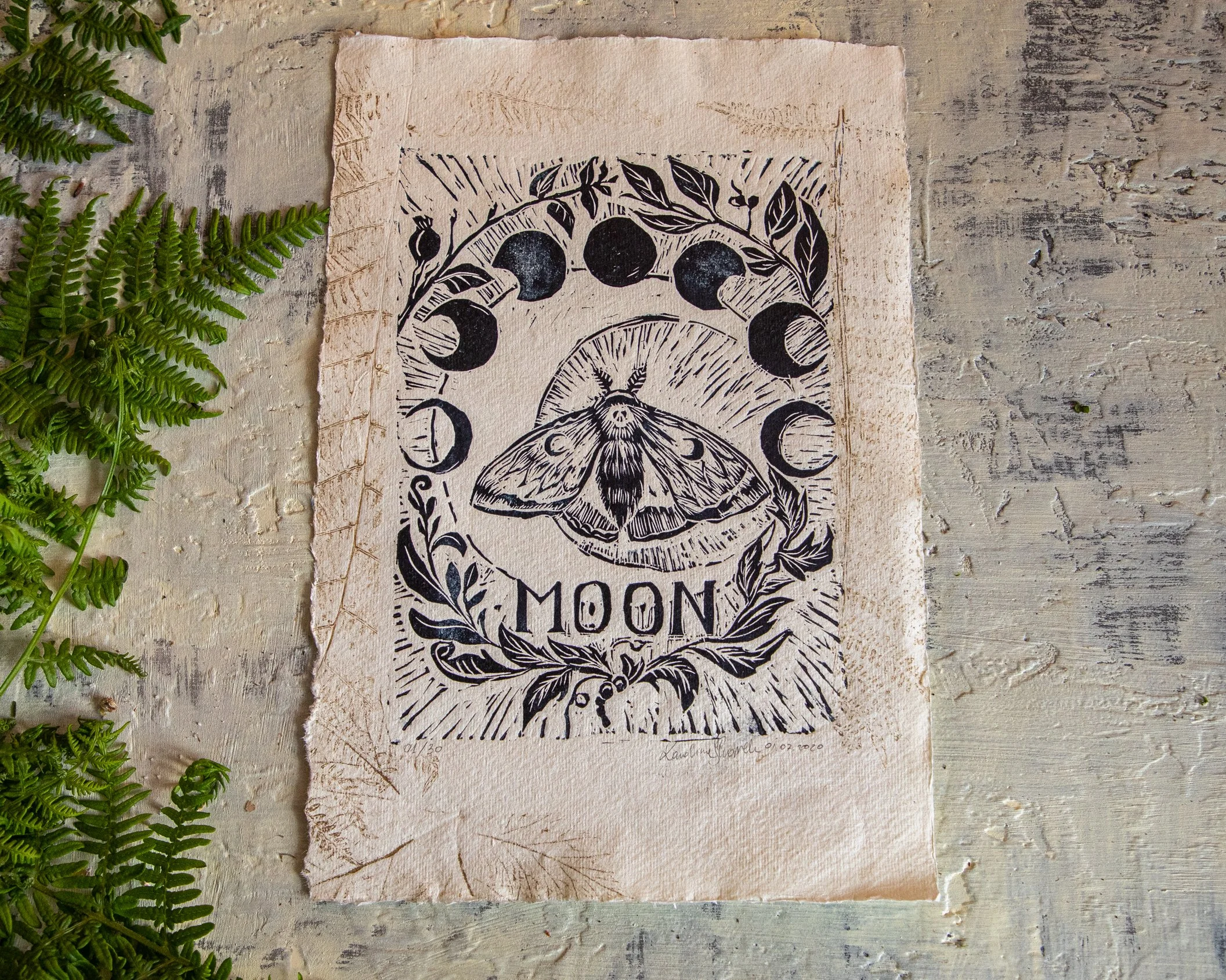 A vintage-style black and white print of a moth with a circular design around it, featuring black berries and leaves, on a textured piece of paper. by Karolina Skorek