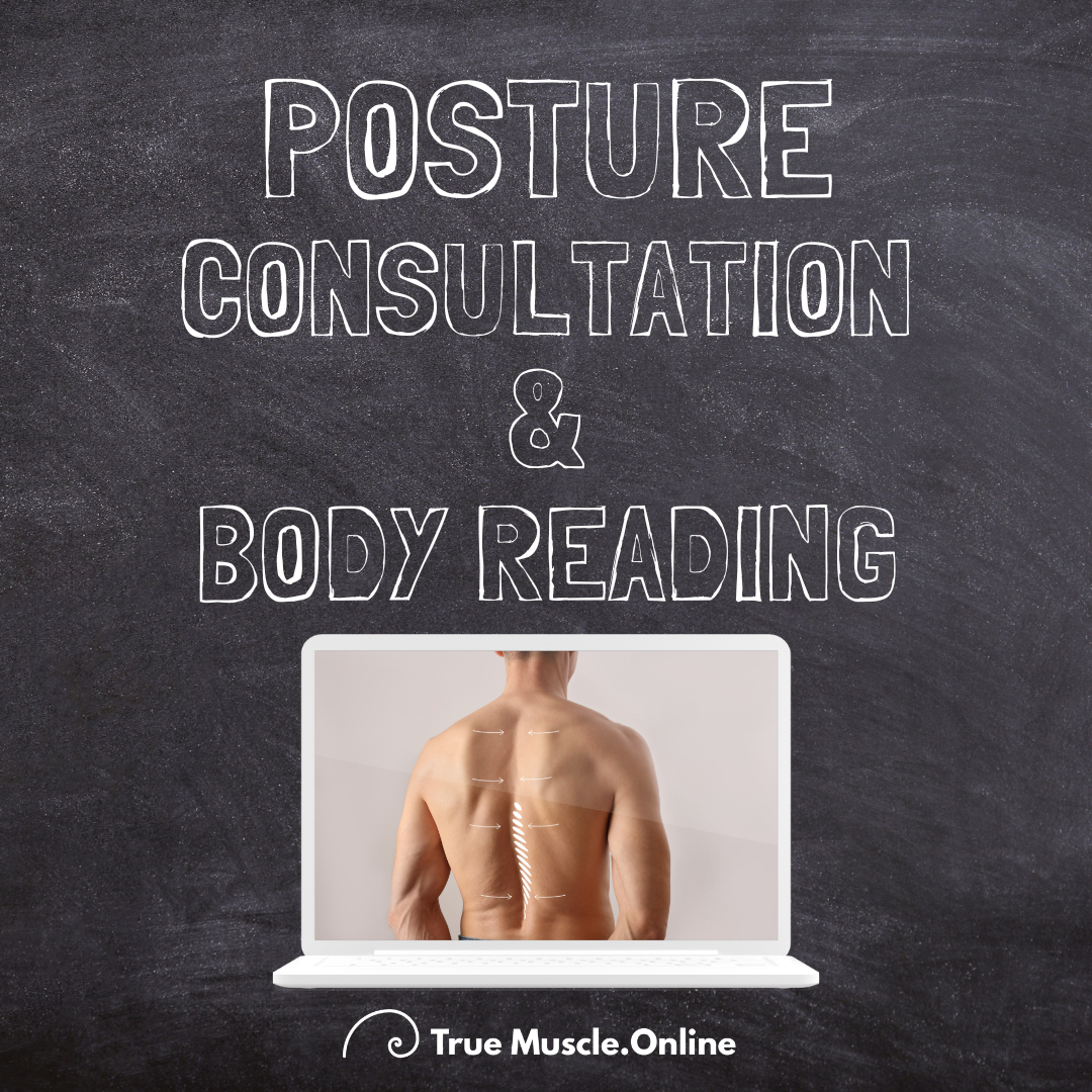 Posture Therapy Consultation & Body Reading