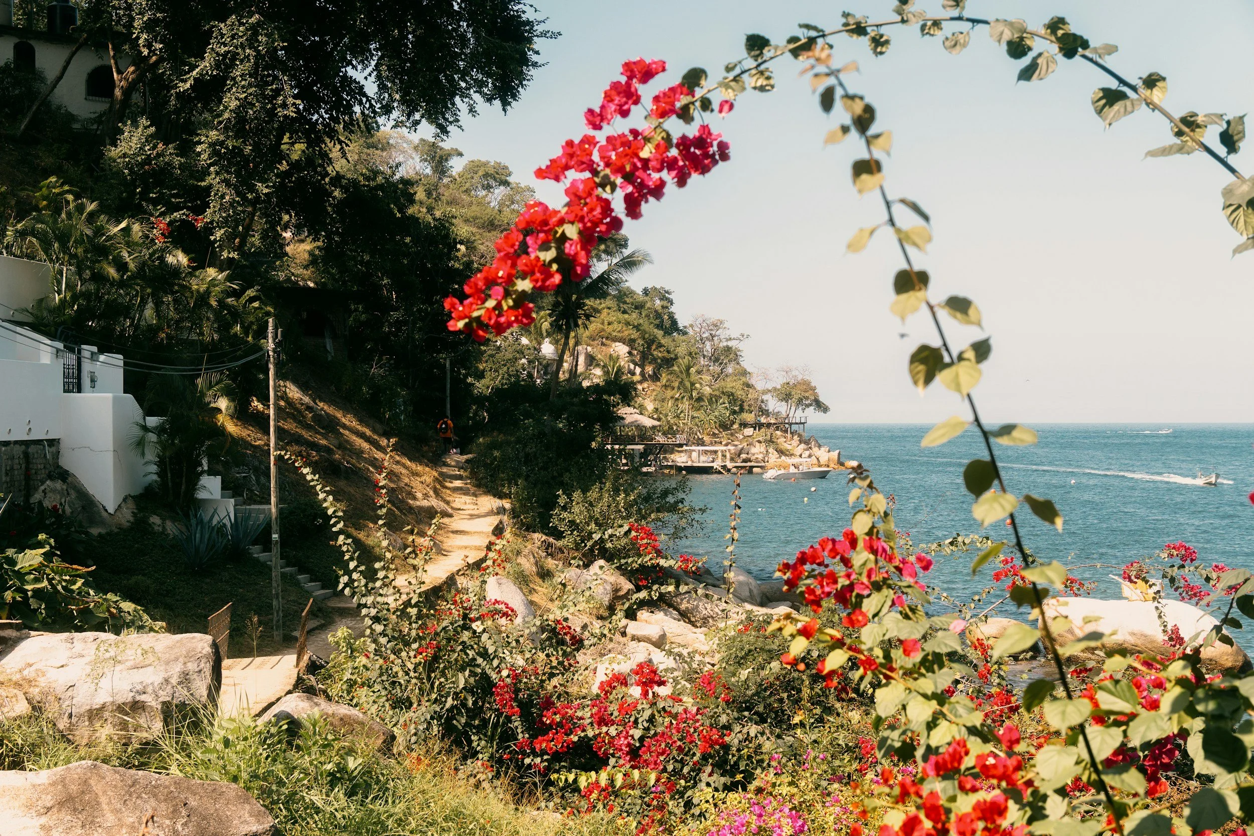 Photo by Samuel Quek on Unsplash