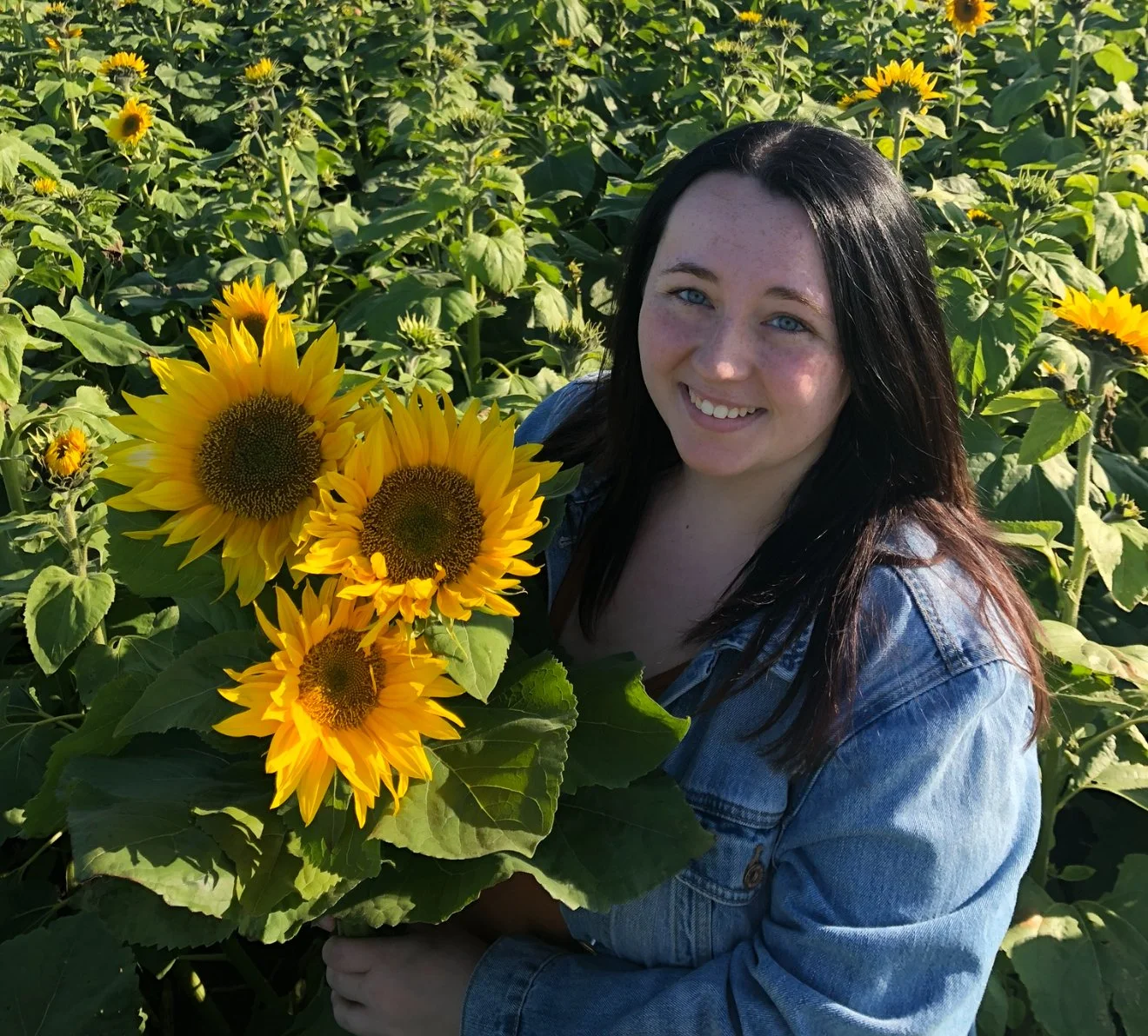 A young woman with dark hair and fair skin smiling in a sunflower field, holding a bouquet of four sunflowers, wearing a denim jacket.