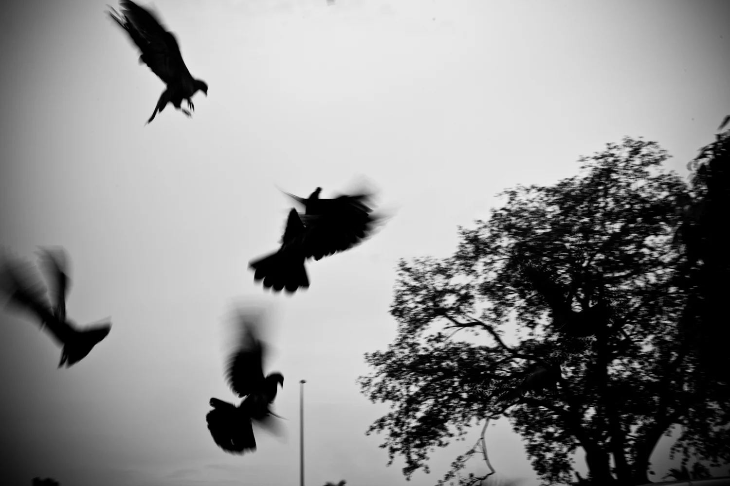  Christian Berg is a Vietnam based documentary and travel photographer 