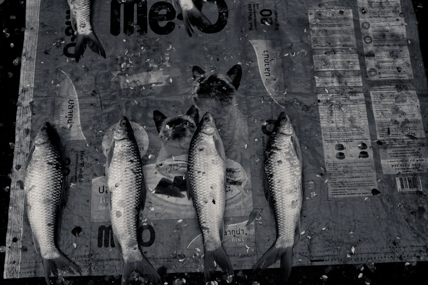  Christian Berg is a Vietnam based documentary and travel photographer 