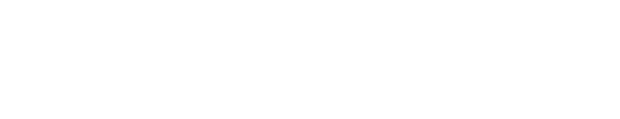 Logo Rollmac bianco