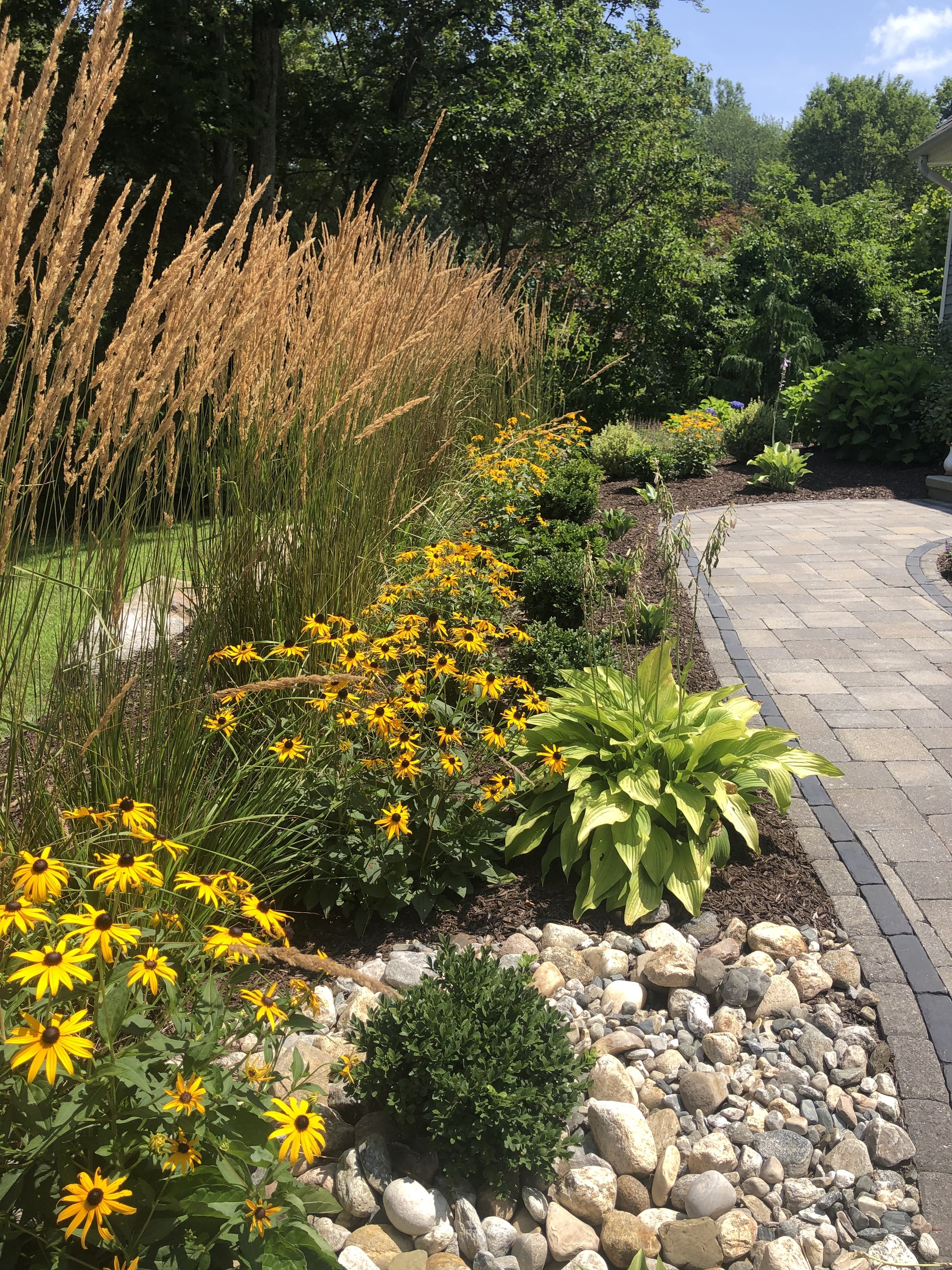 A landscaped garden with yellow and black flowers, tall ornamental grasses, and lush green bushes along a curved stone pathway, under a clear blue sky.