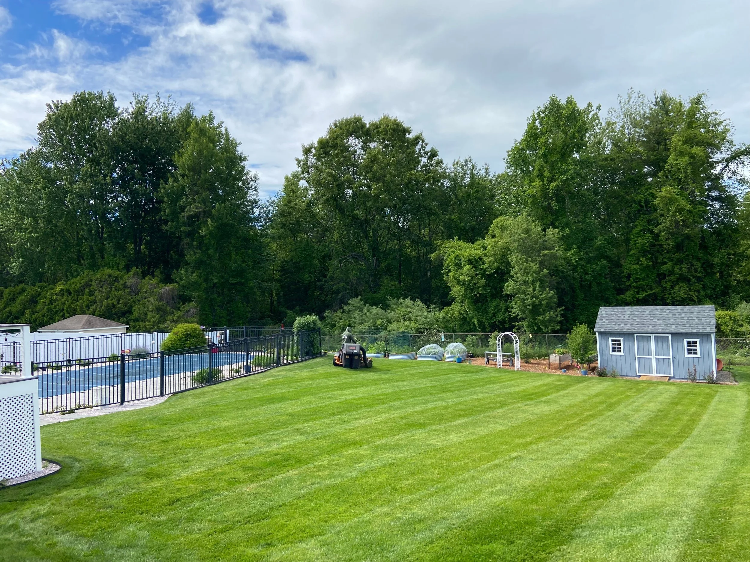 Well-manicured backyard with a large green lawn, a small blue shed, a fenced pool, and tall trees in the background under a partly cloudy sky.