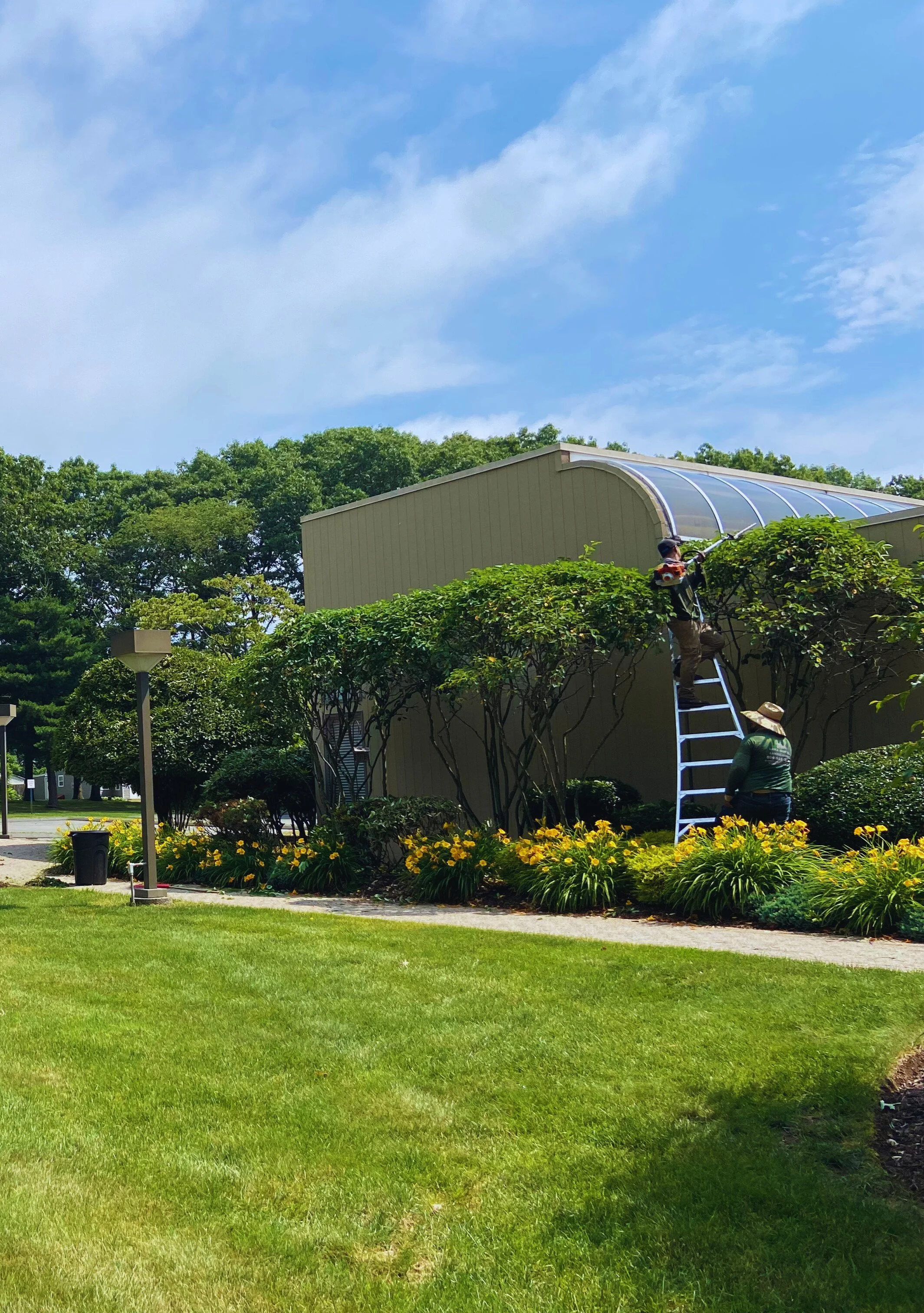 Two people working on the roof of a small building with a clear curved roof. One person is on a ladder, and the other stands on the ground. The building is surrounded by green bushes, trees, and yellow flowers under a bright sky.