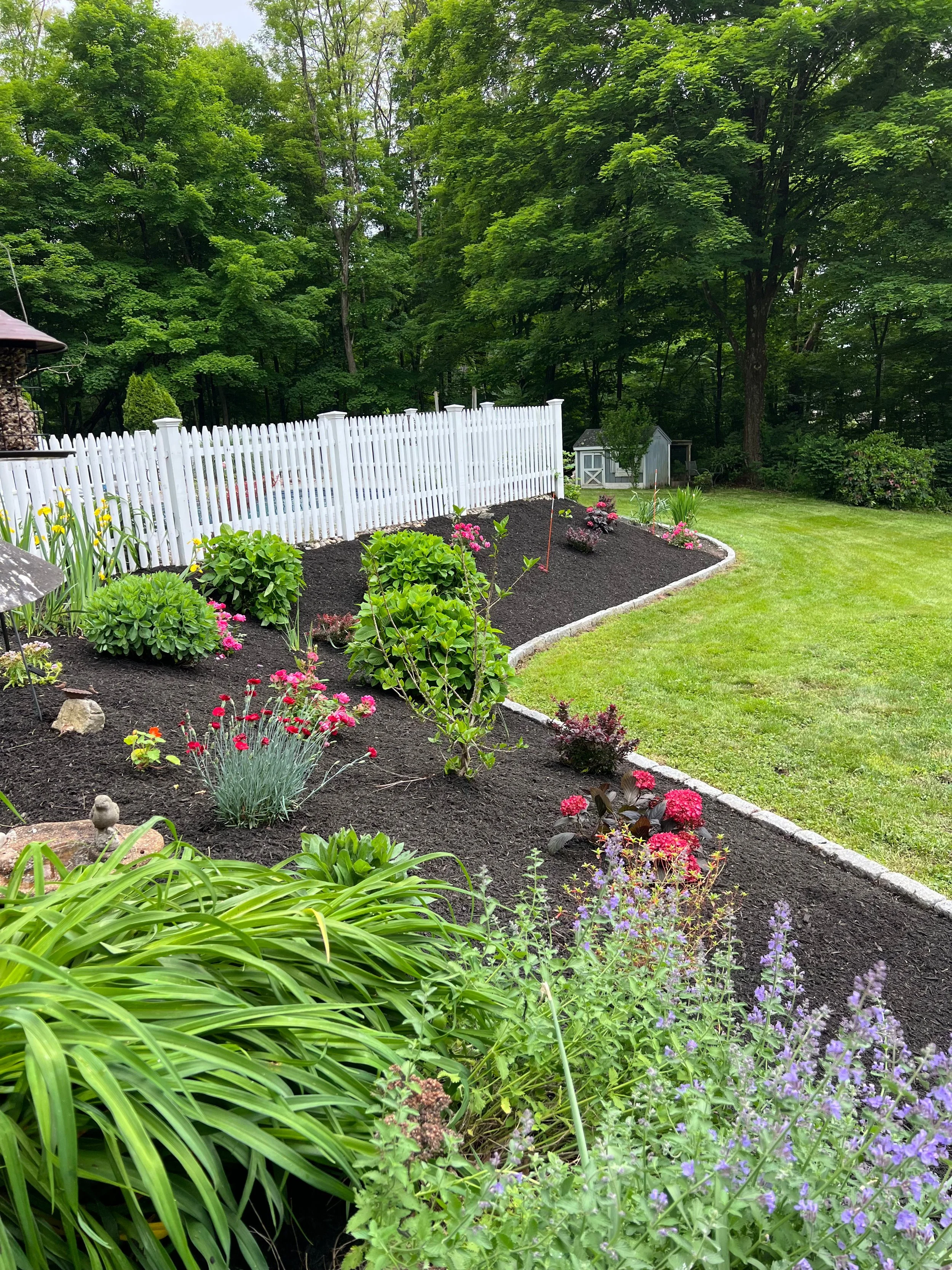A manicured backyard garden with a curved flower bed containing various green plants and colorful flowers, bordered by a white picket fence and lush trees in the background.
