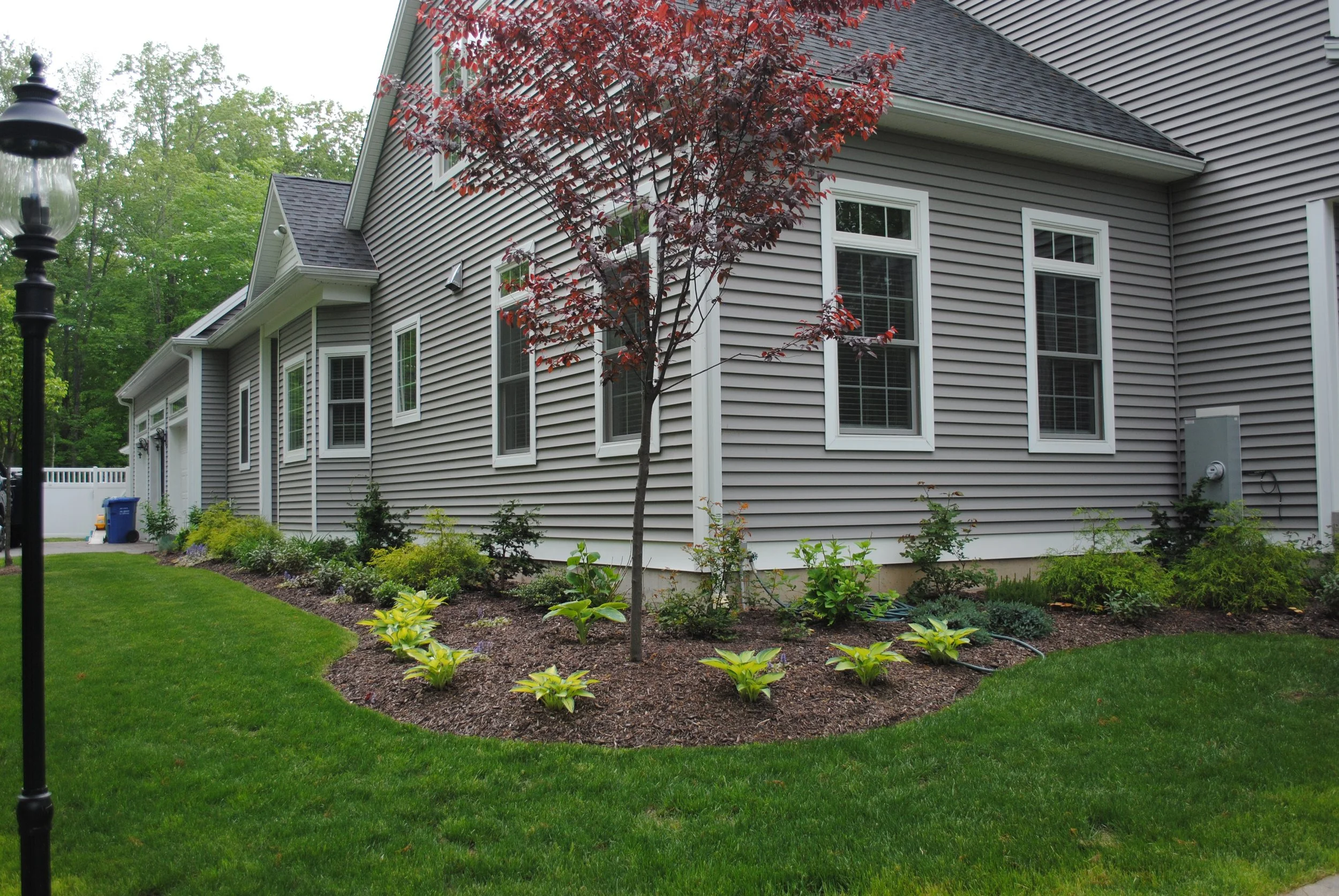 A well-maintained backyard garden with a young tree, various shrubs, and flowering plants, alongside a gray house with white window frames and manicured lawn.