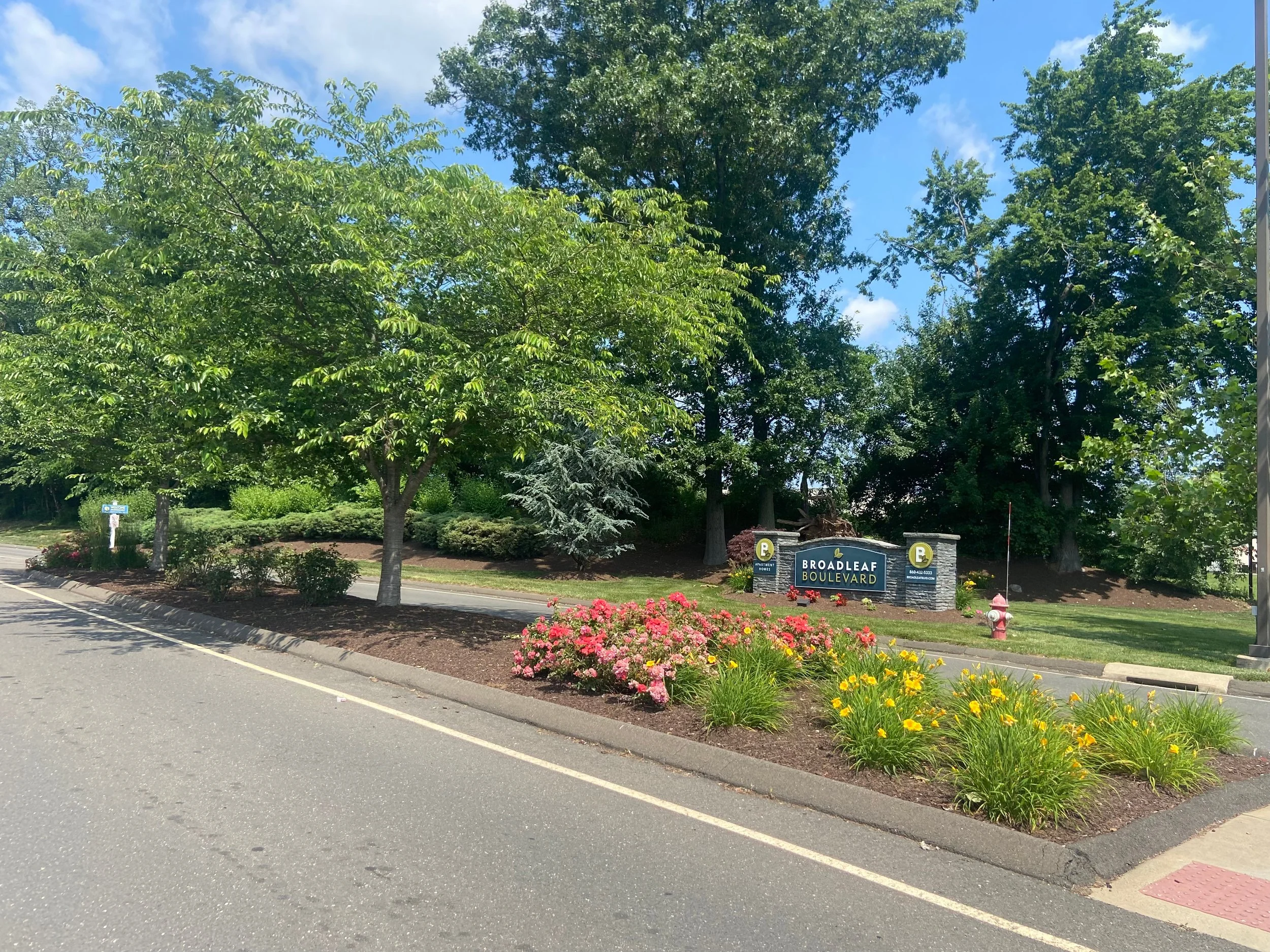 Broadleaf Boulevard, Manchester CT