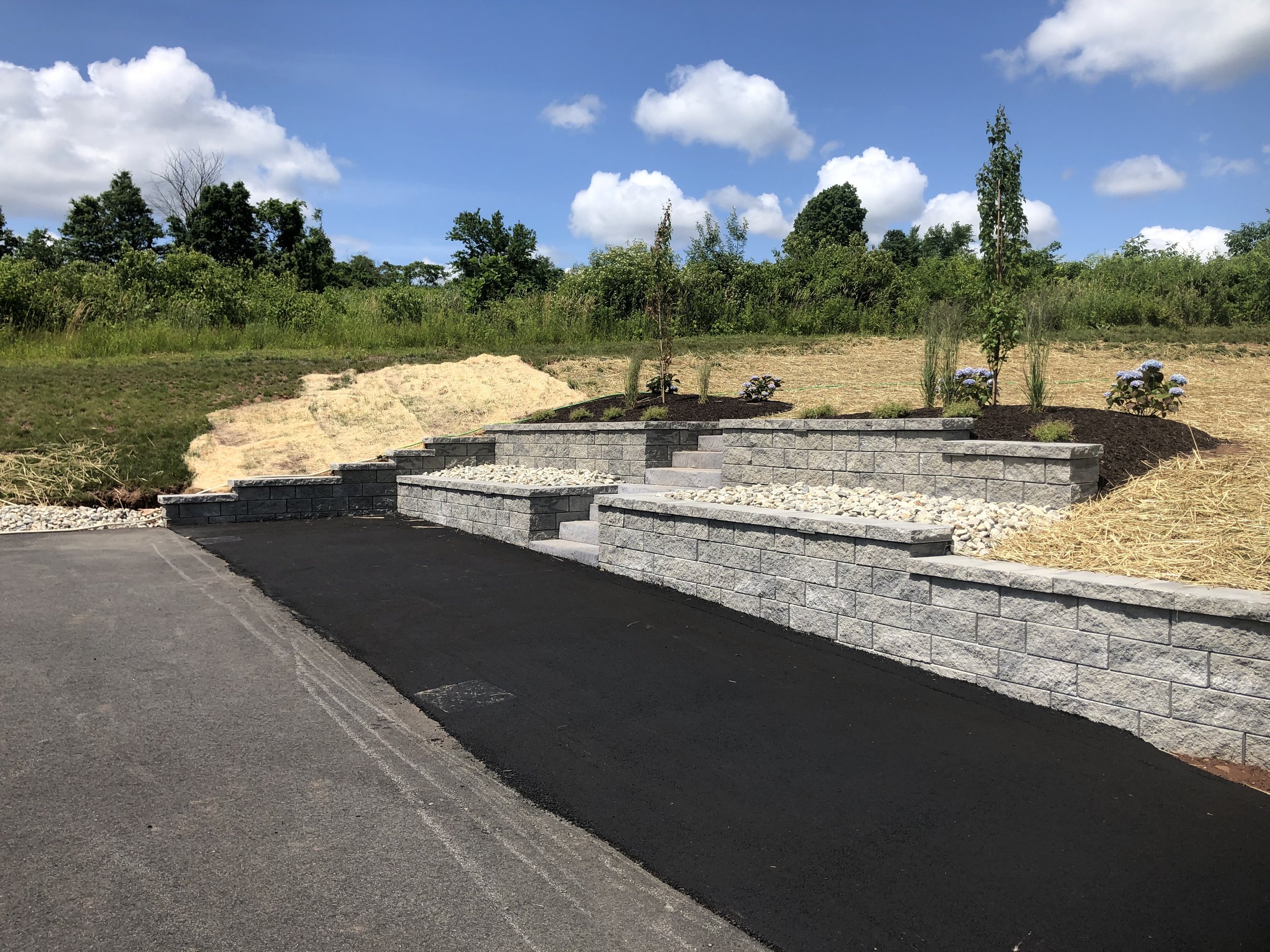 Retaining wall with steps and landscaping in a backyard with green trees and blue sky.