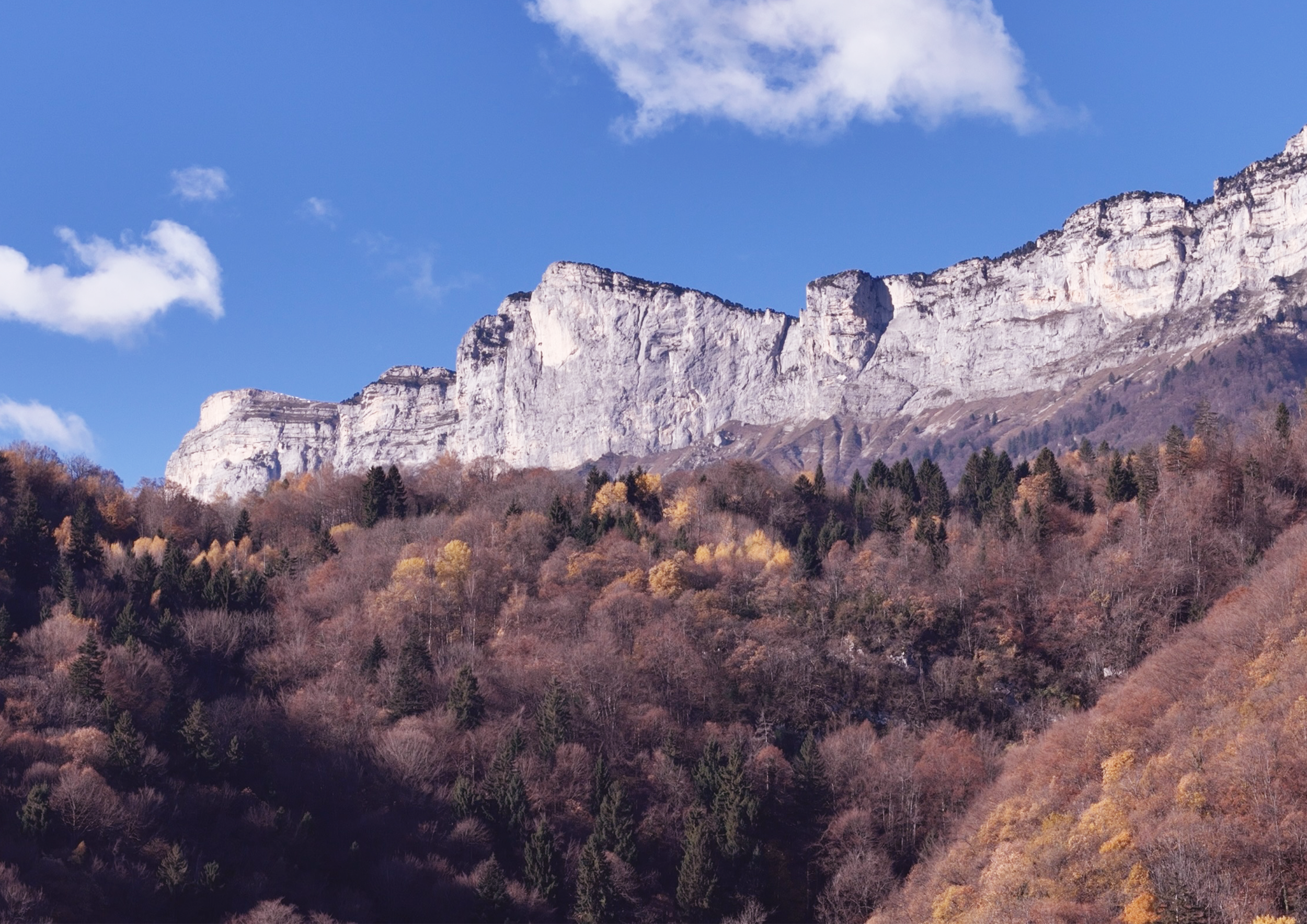 Maisons bioclimatiques
