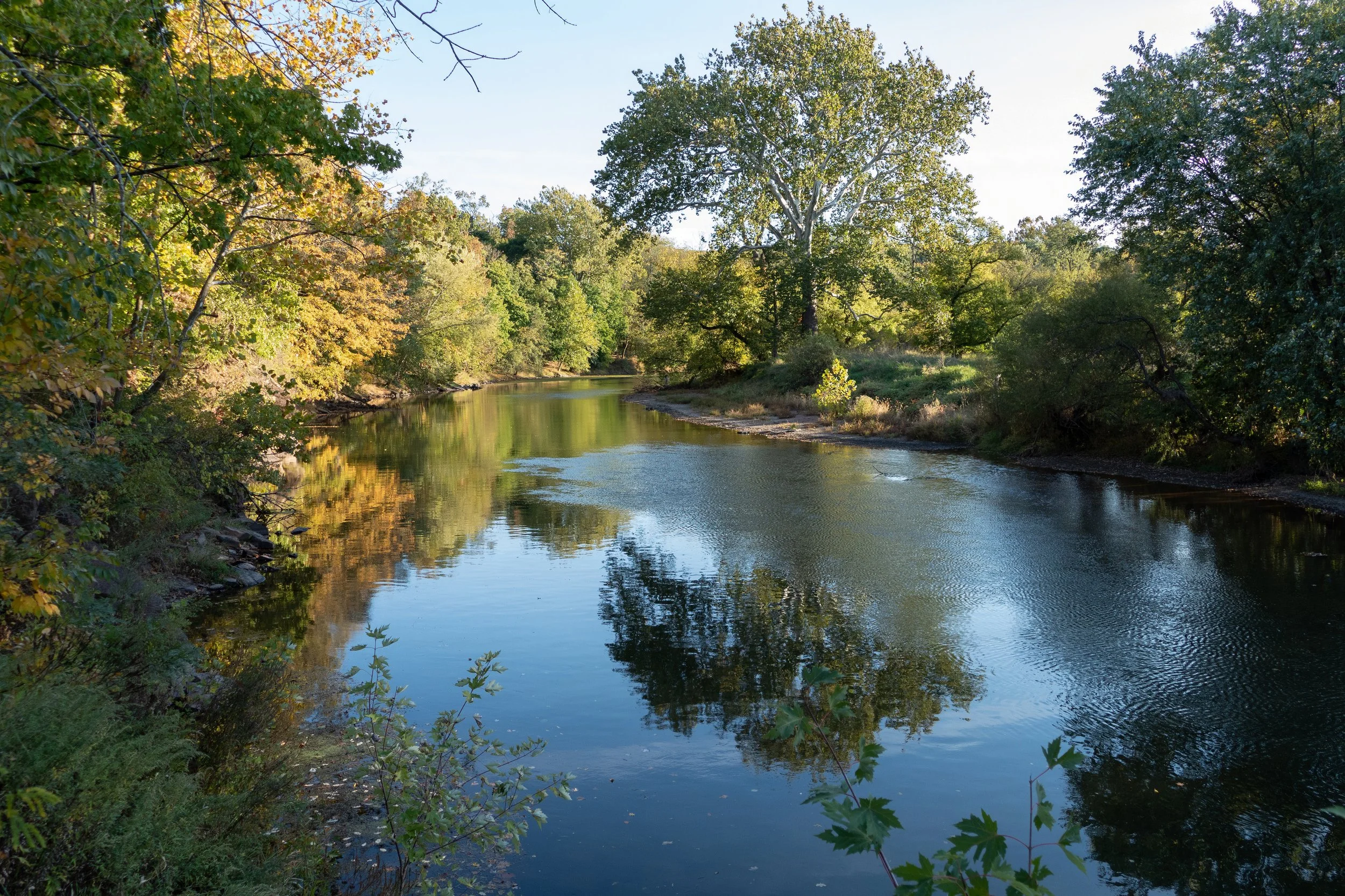 View of the peaceful South Branch Raritan River winding through a lush forest with trees showing signs of fall, reflecting the clear blue sky in the calm water.