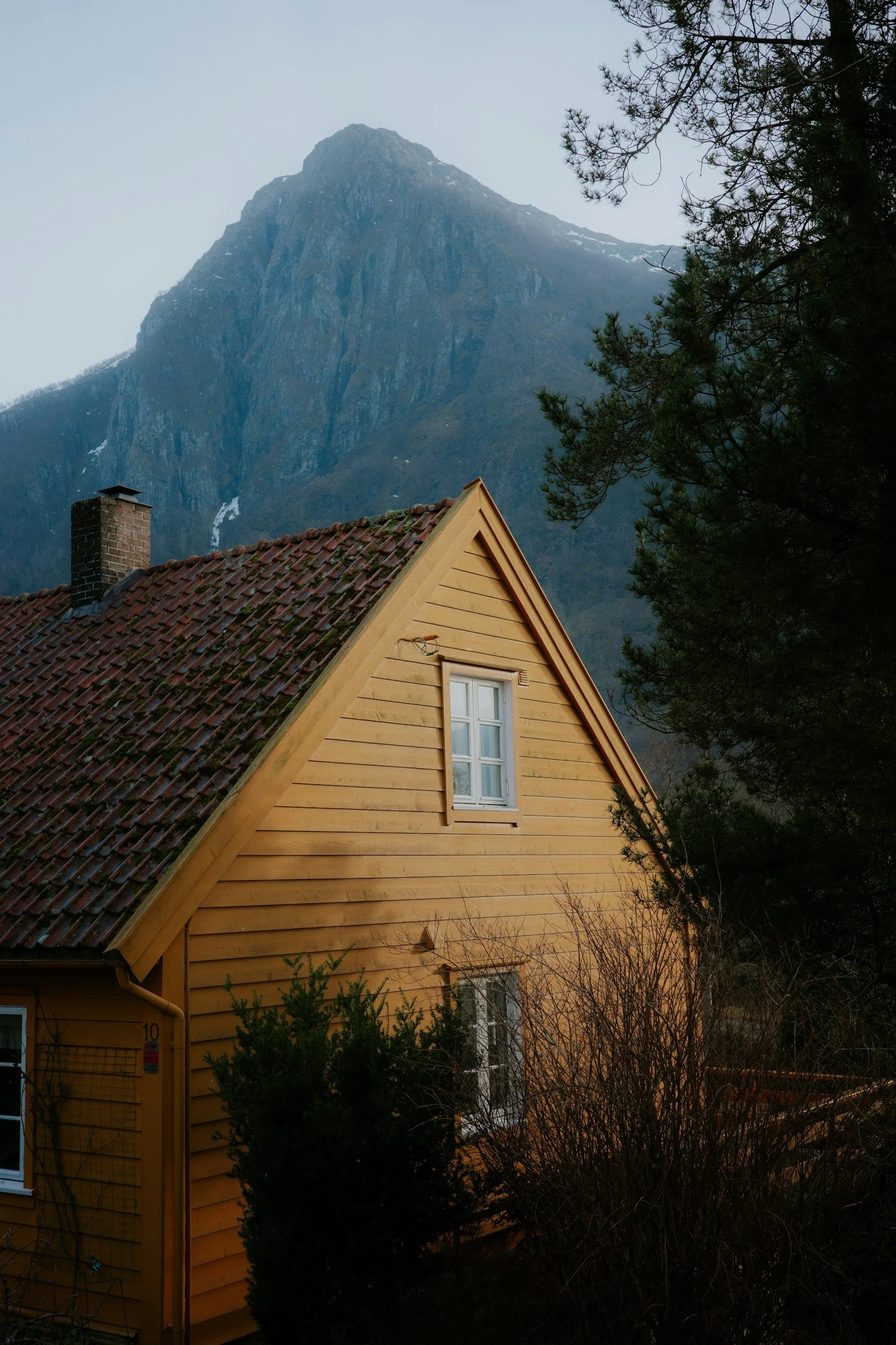 unsplash-image-vcqjenGSvdw.jpg