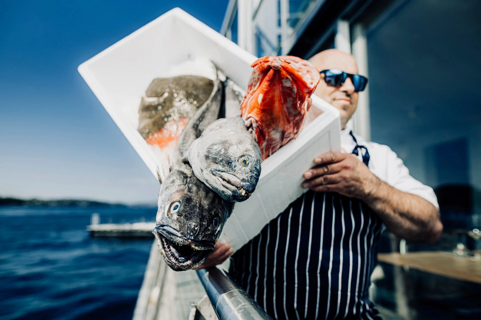 Fresh seafood from Cornelius Restaurant _Ida Skeie - Cornelius Restaurant (1).jpg