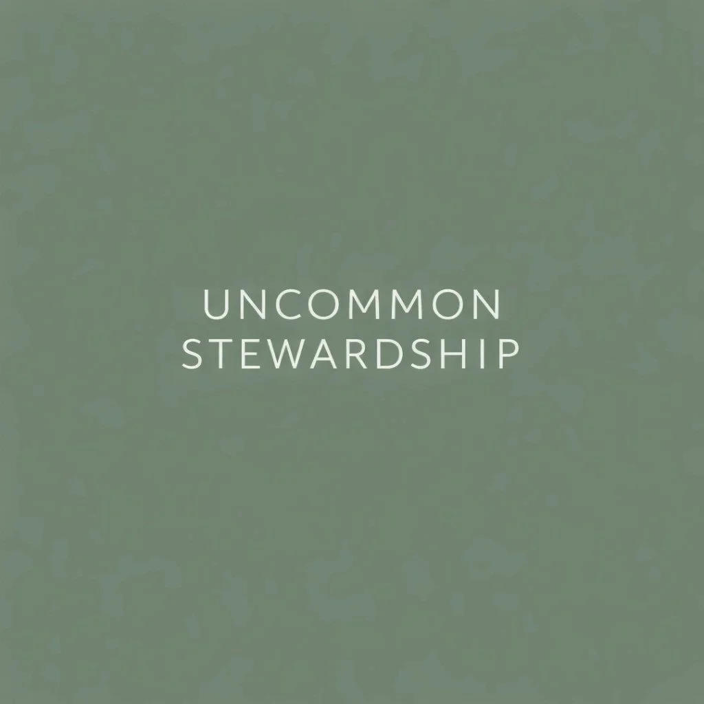 Most people see bookkeeping as a chore: something to "get through" before tax season.

But what if your books are actually a reflection of your obedience?

We talk a lot about the big vision God gives us, but rarely about the math required 