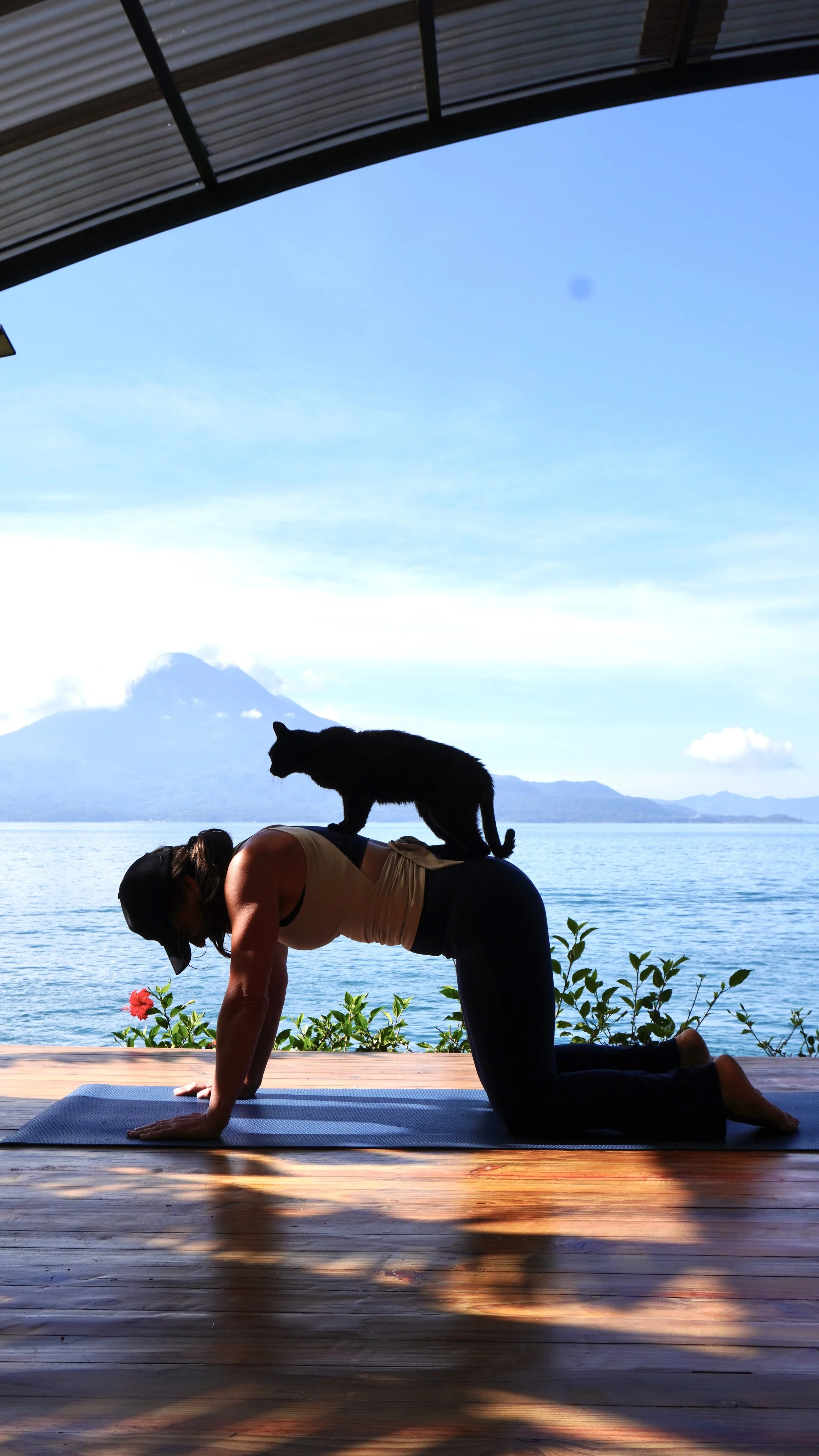 A woman practicing yoga outdoors on a wooden deck with a view of a lake, mountains, and a volcano in the background. A black cat is on her back, and she is in a modified upward-facing dog pose.