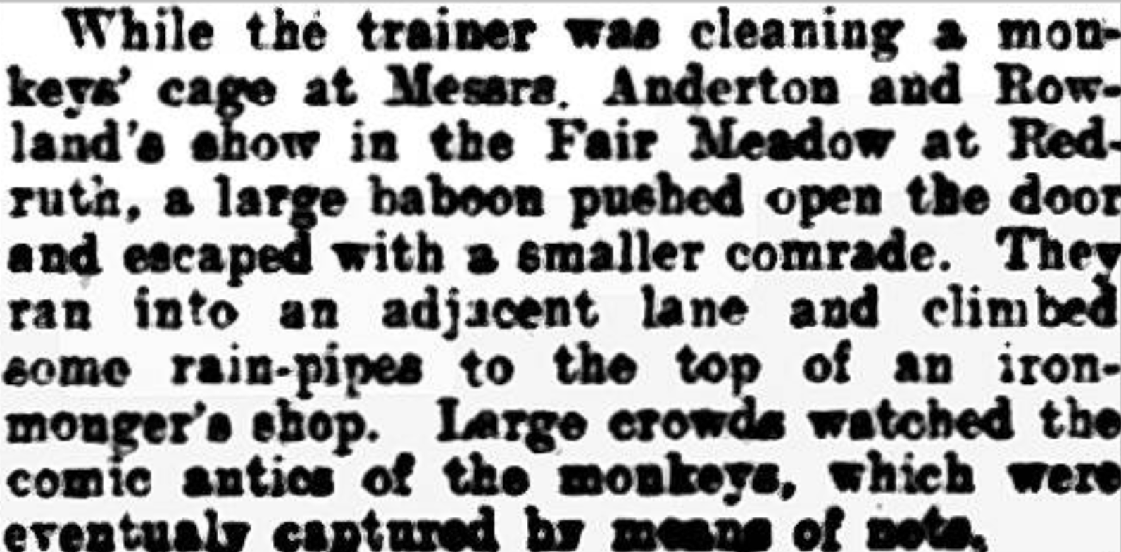 Black and white newspaper clipping with text describing a scene at a fair with a train, show, and crowd, but no images.