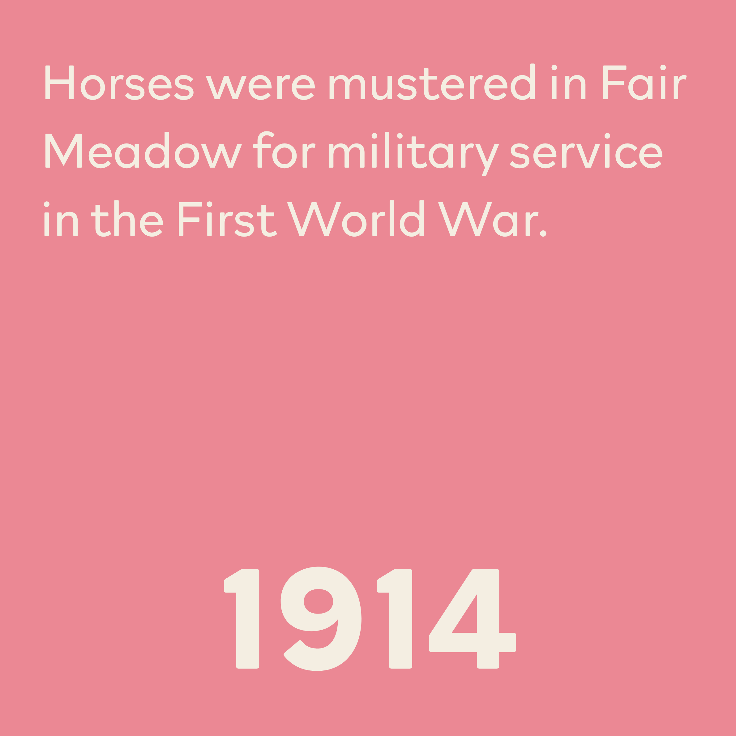 Pink background with white text stating 'Horses were mustered in Fair Meadow for military service in the First World War' and the number 1914 at the bottom.