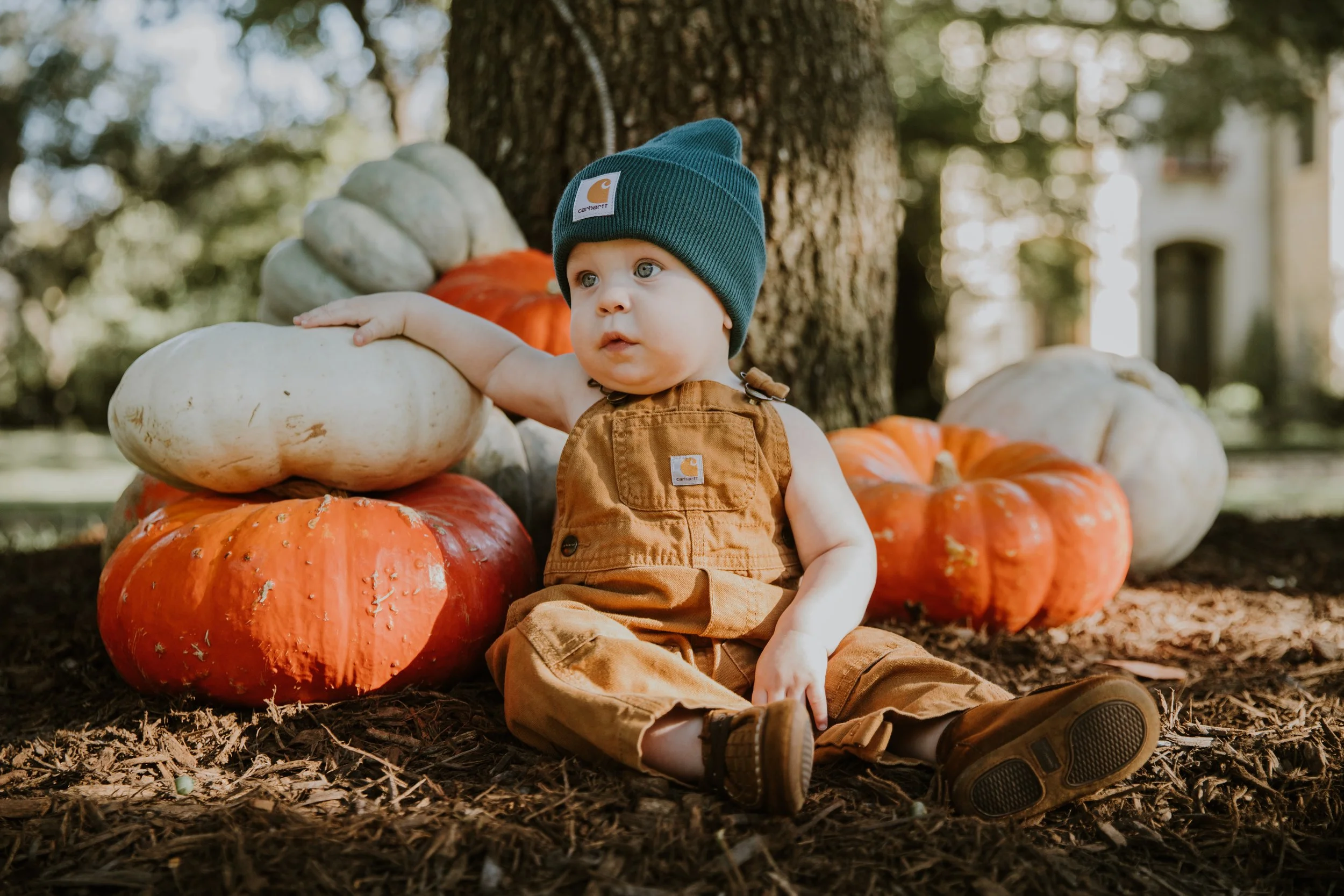 October 16, 2025-0C7A6912.jpg