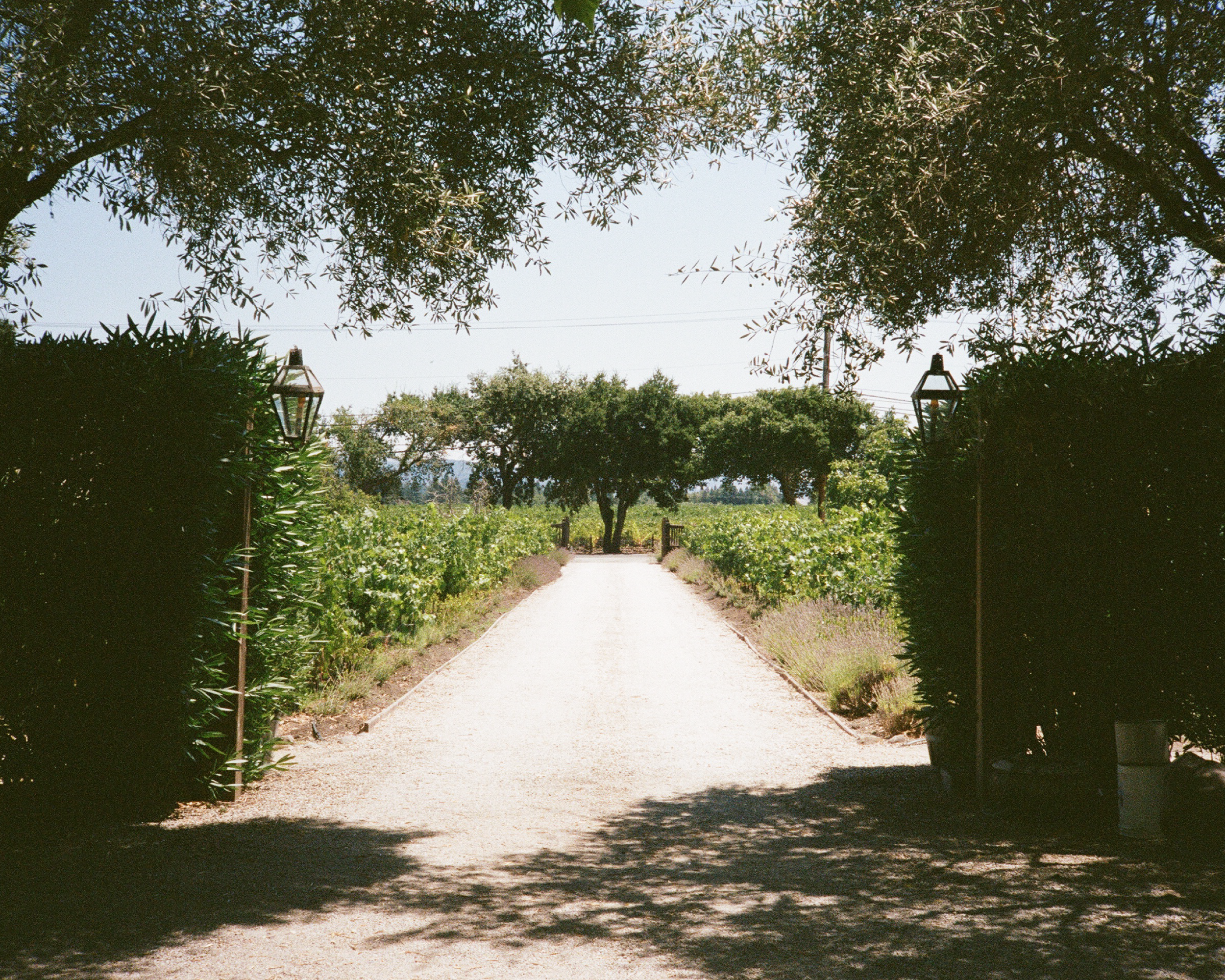 A+A_Wedding_Finalish_v copy.png