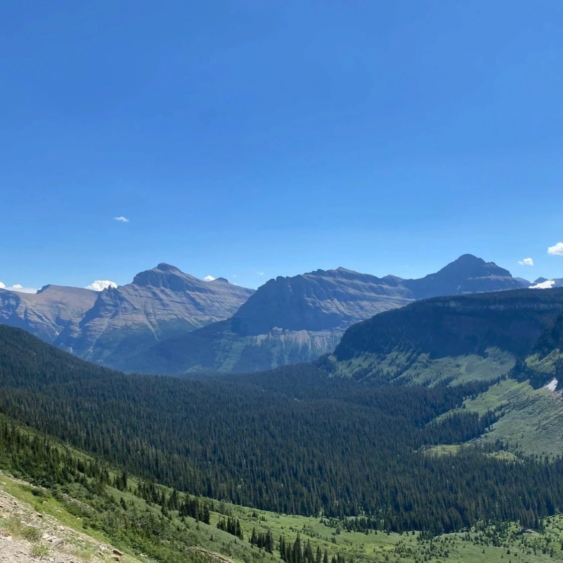 What if your money could be a tool for the life you're actually called to build?

Not just a stress reliever. Not just a way to keep the lights on. A tool.

I've watched clients go from "I just need to survive this month" to "Wait... I